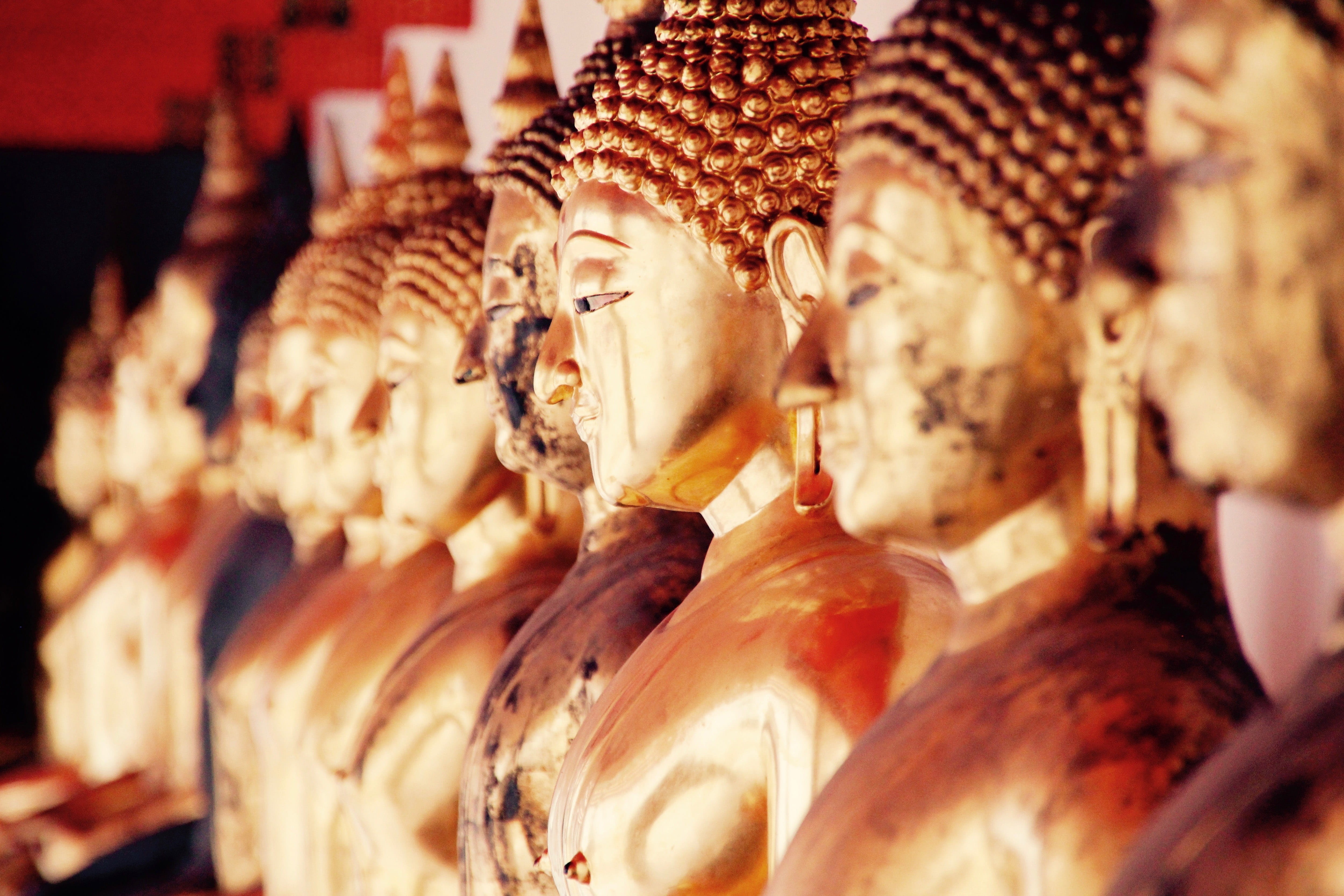 thailand, 4K, famous Place, buddha, building, asia, in a row, Golden Buddha, travel destinations, meditation, belief, sculpture, temple, calm, Bangkok, HD Wallpaper
