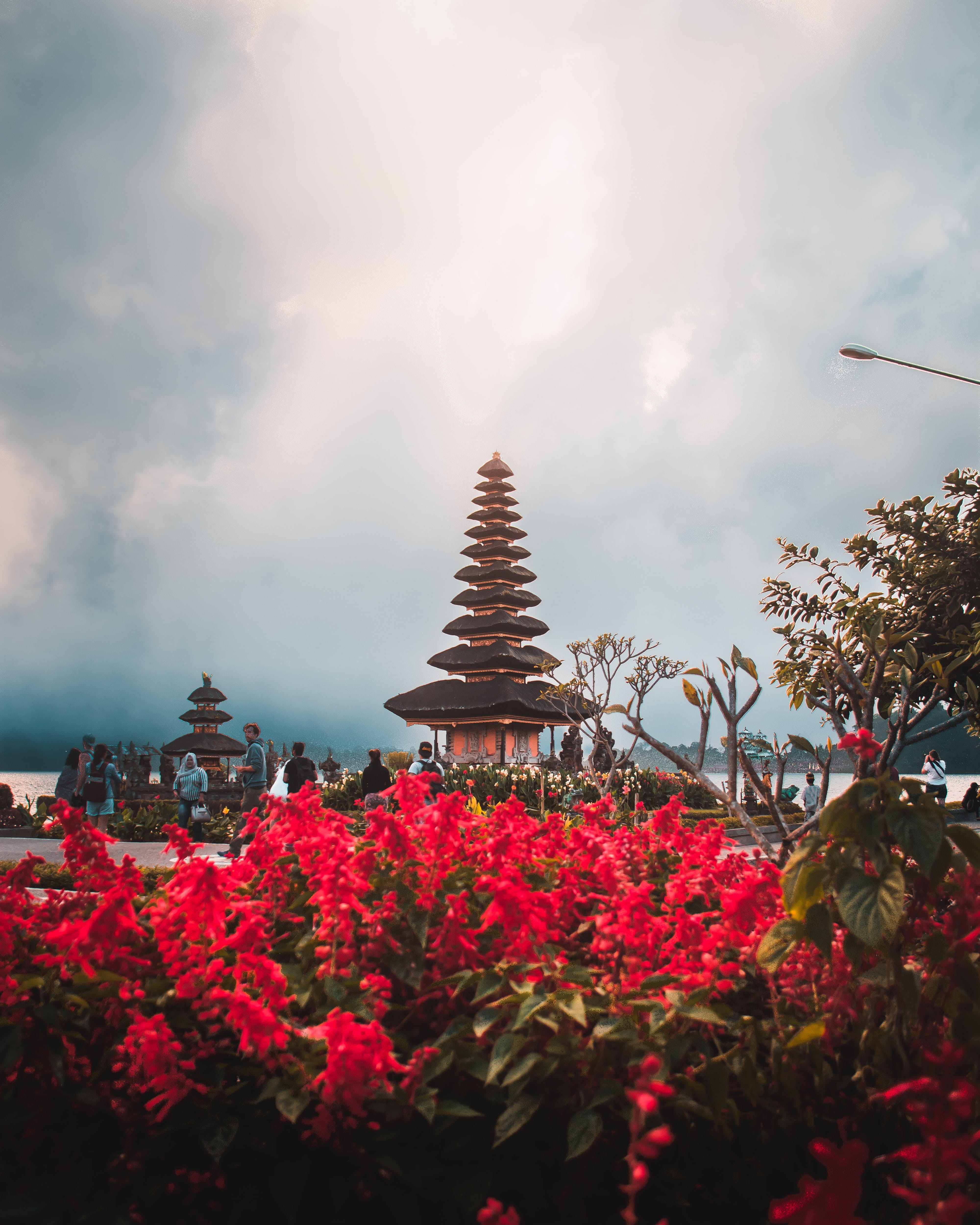 lake, water, building, tourism, landmark, day, vulnerability, flower, growth, tropical, sky, temple, plant, red, outdoors, no people, beratan, culture, Phone HD Wallpaper