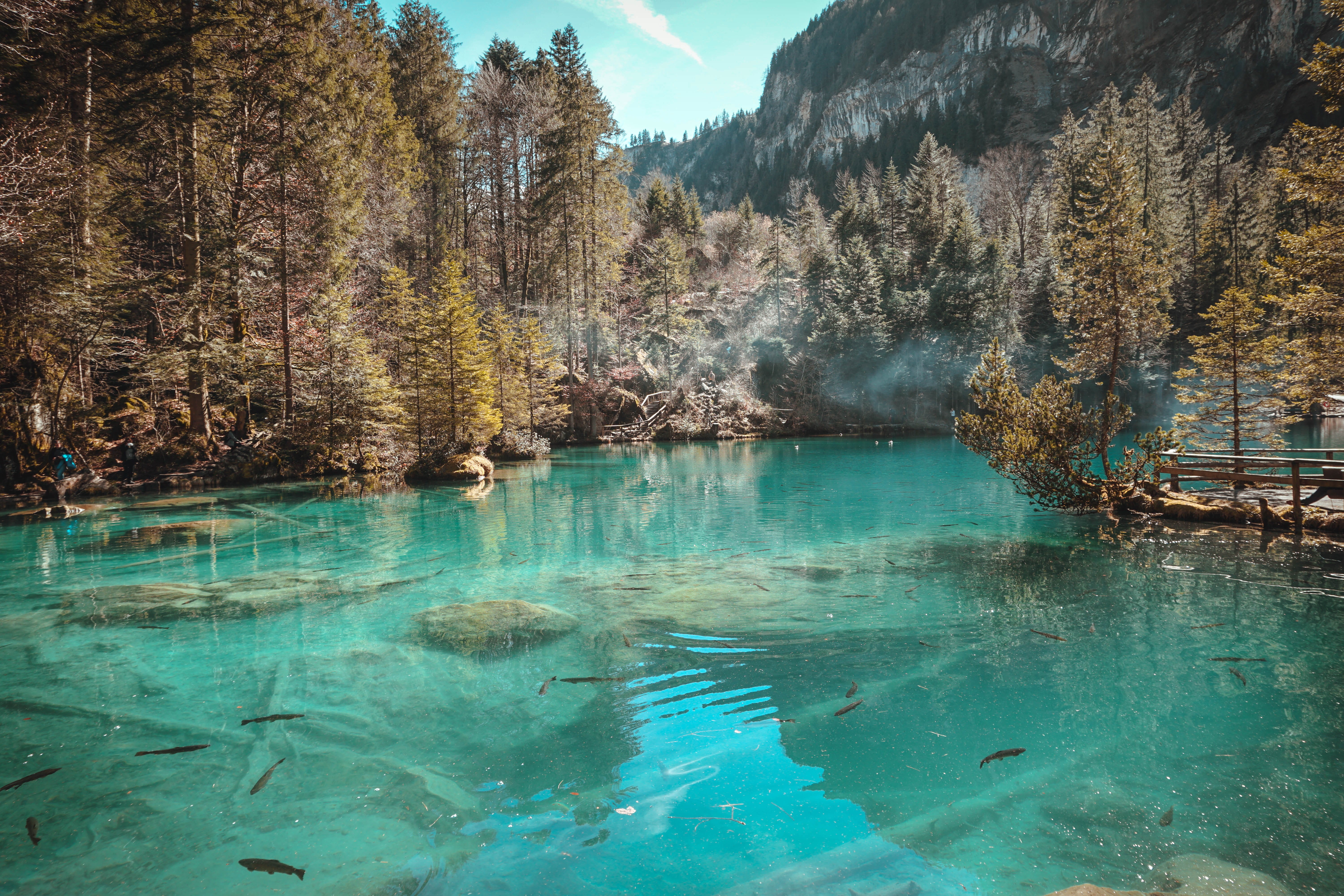 lake, nature, mountain lake, travel, fog, Blausee, tranquility, sky, scenic, switzerland, mountain, nature park, beautiful landscape, landscape, mountain view, HD Wallpaper