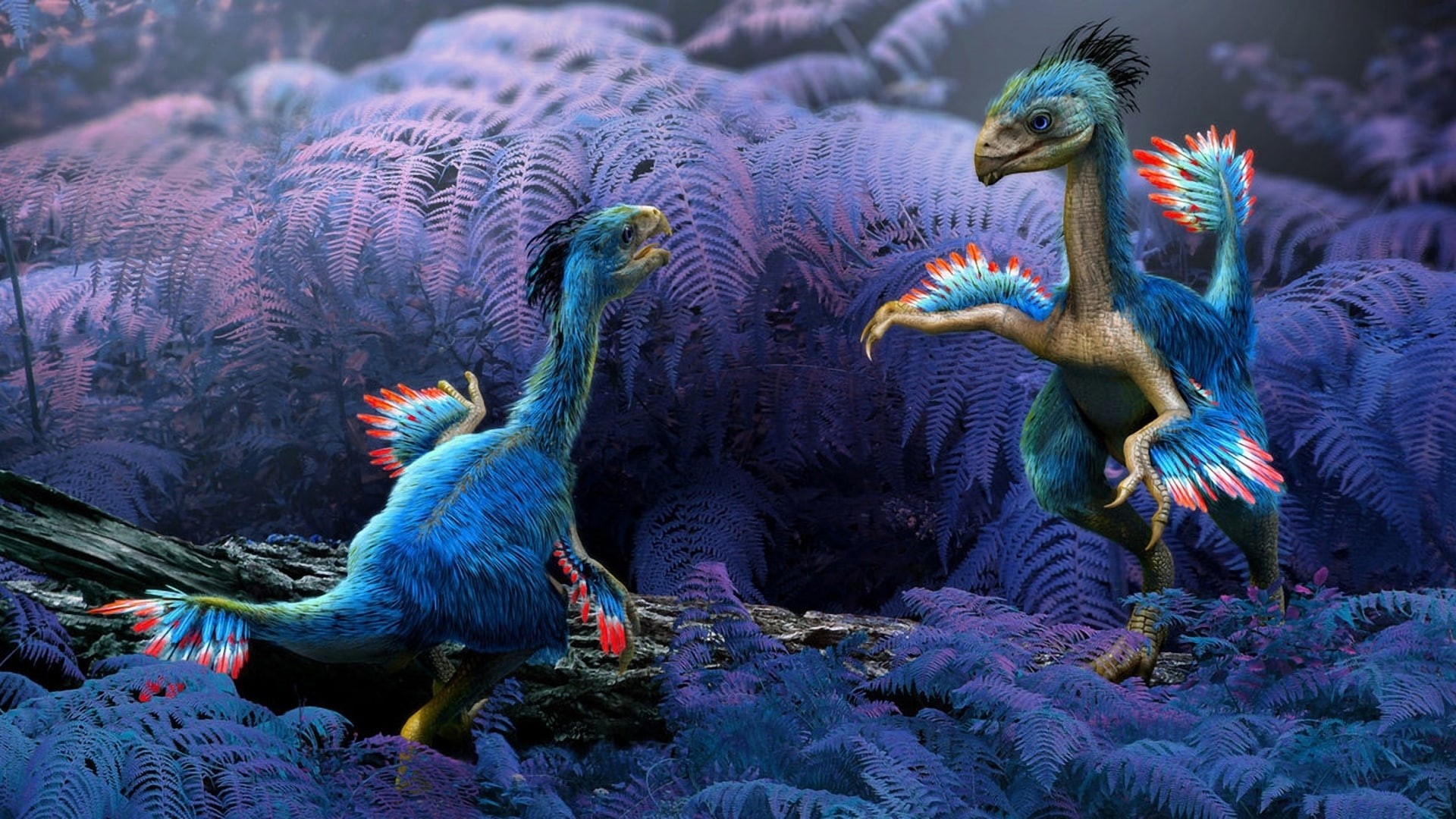 1080P, Dinosaurs, animals, Ancient, Animal, HD Wallpaper