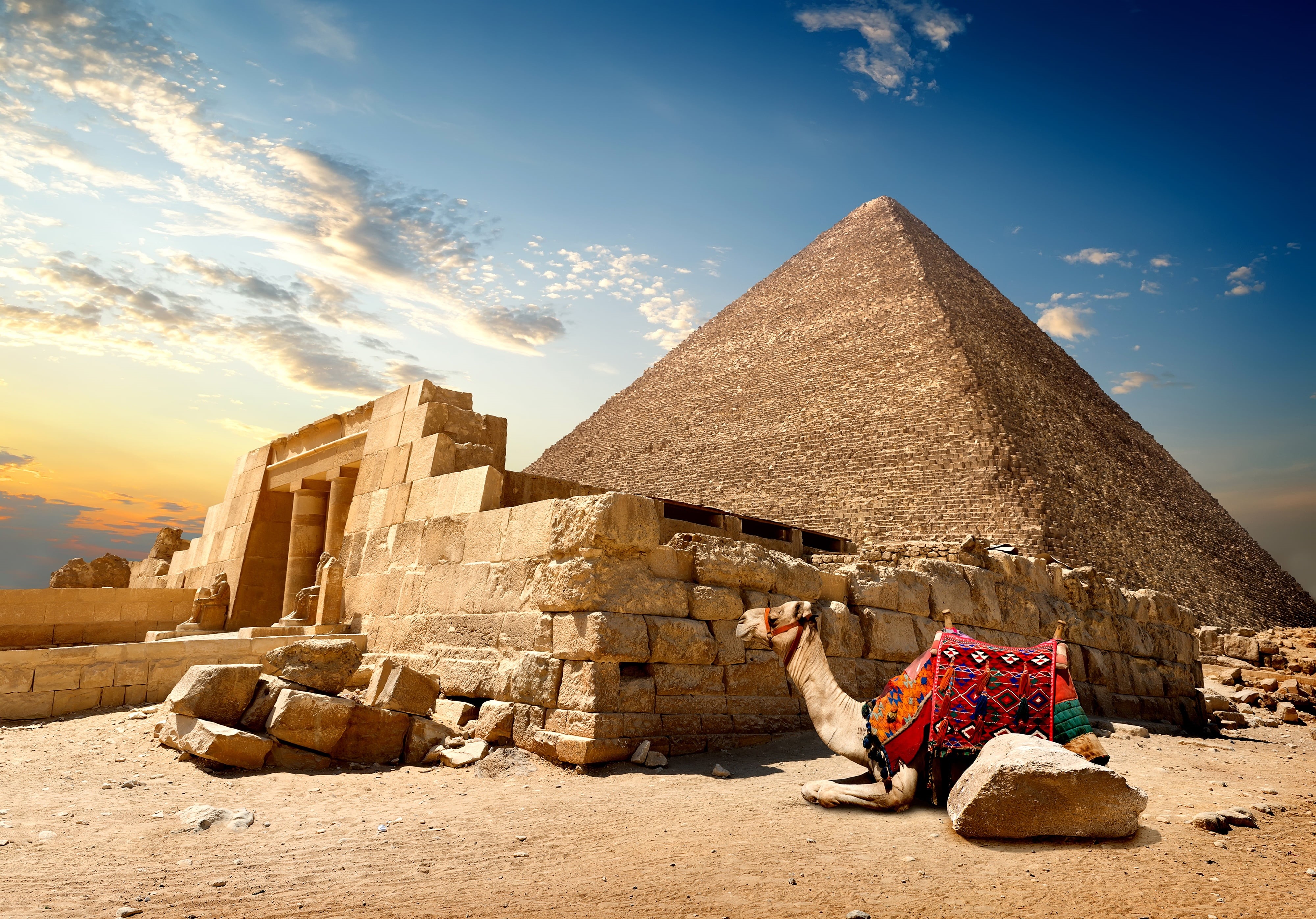 nature, building exterior, Cairo, animal, desert, one animal, sky, the past, pyramid, 4K, domestic, built structure, pets, architecture, stones, sand, HD Wallpaper