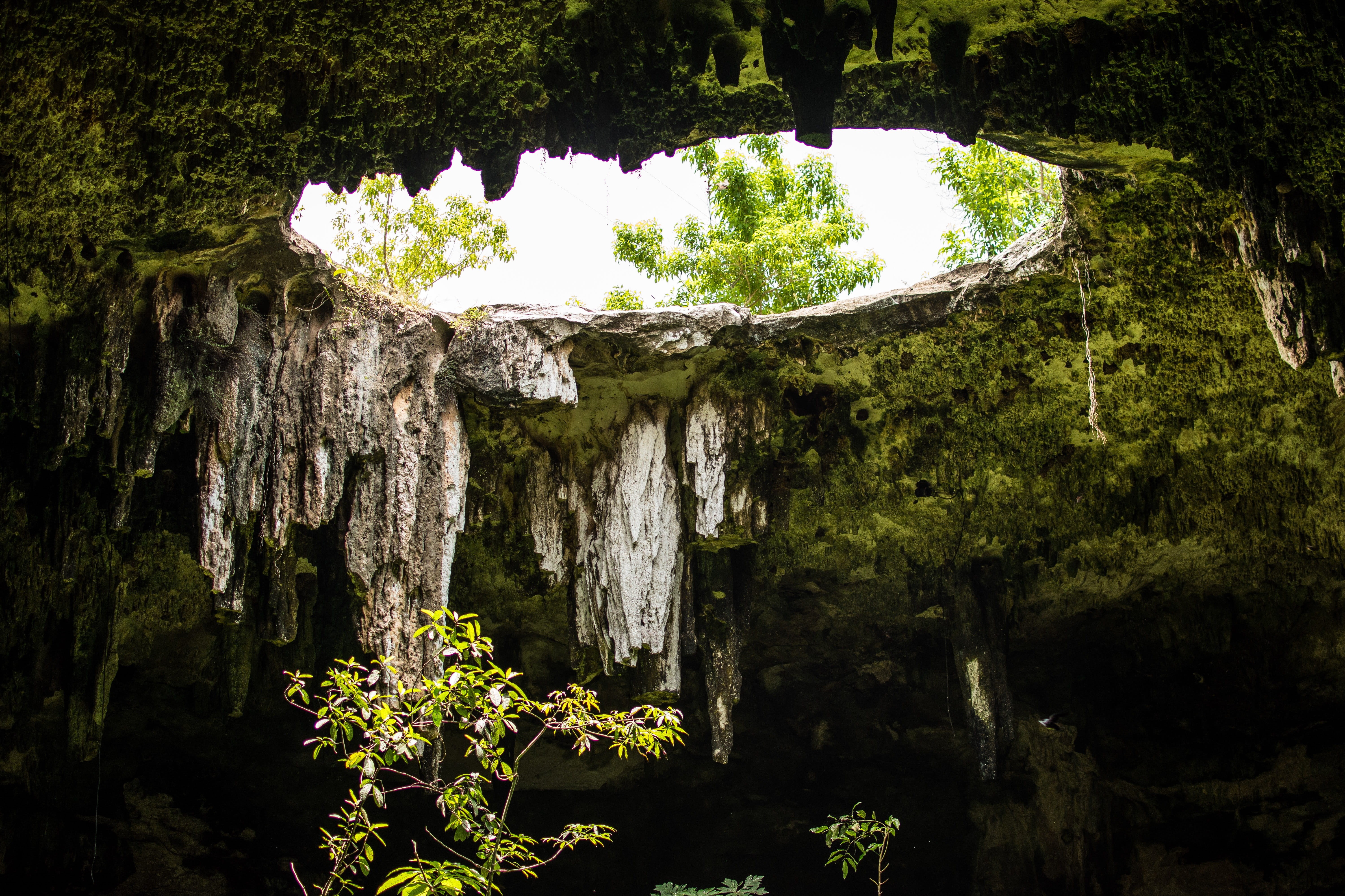 underground, geology, solid, day, land, beauty in nature, cave, old, costs, forest, architecture, travel, mexico, tranquility, tranquil scene, 5K, deep, HD Wallpaper