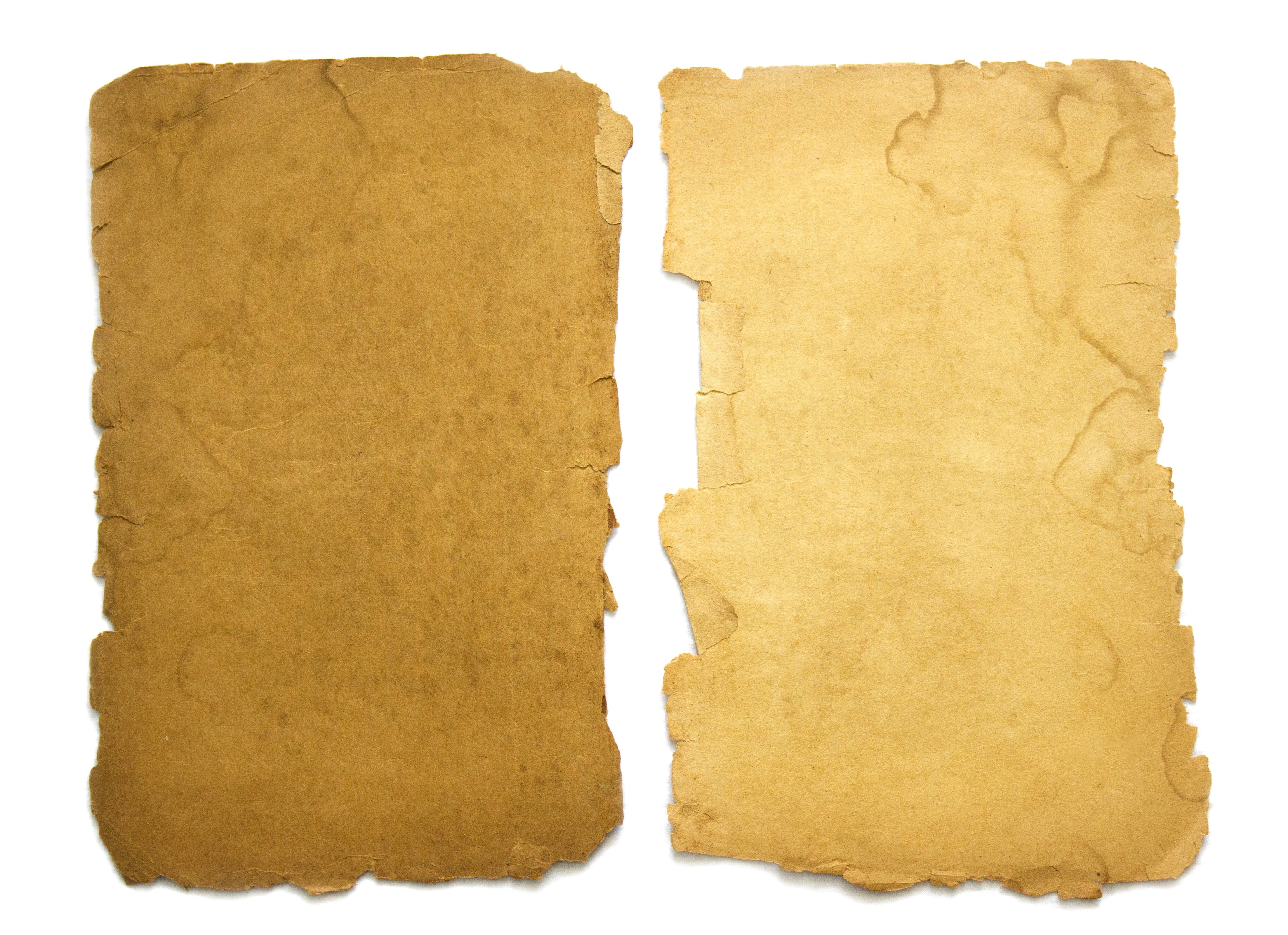 white background, backgrounds, burnt, indoors, brown, stained, paper, dirt, damaged, copy space, empty, message, 4K, close-up, isolated, blank, dirty, HD Wallpaper