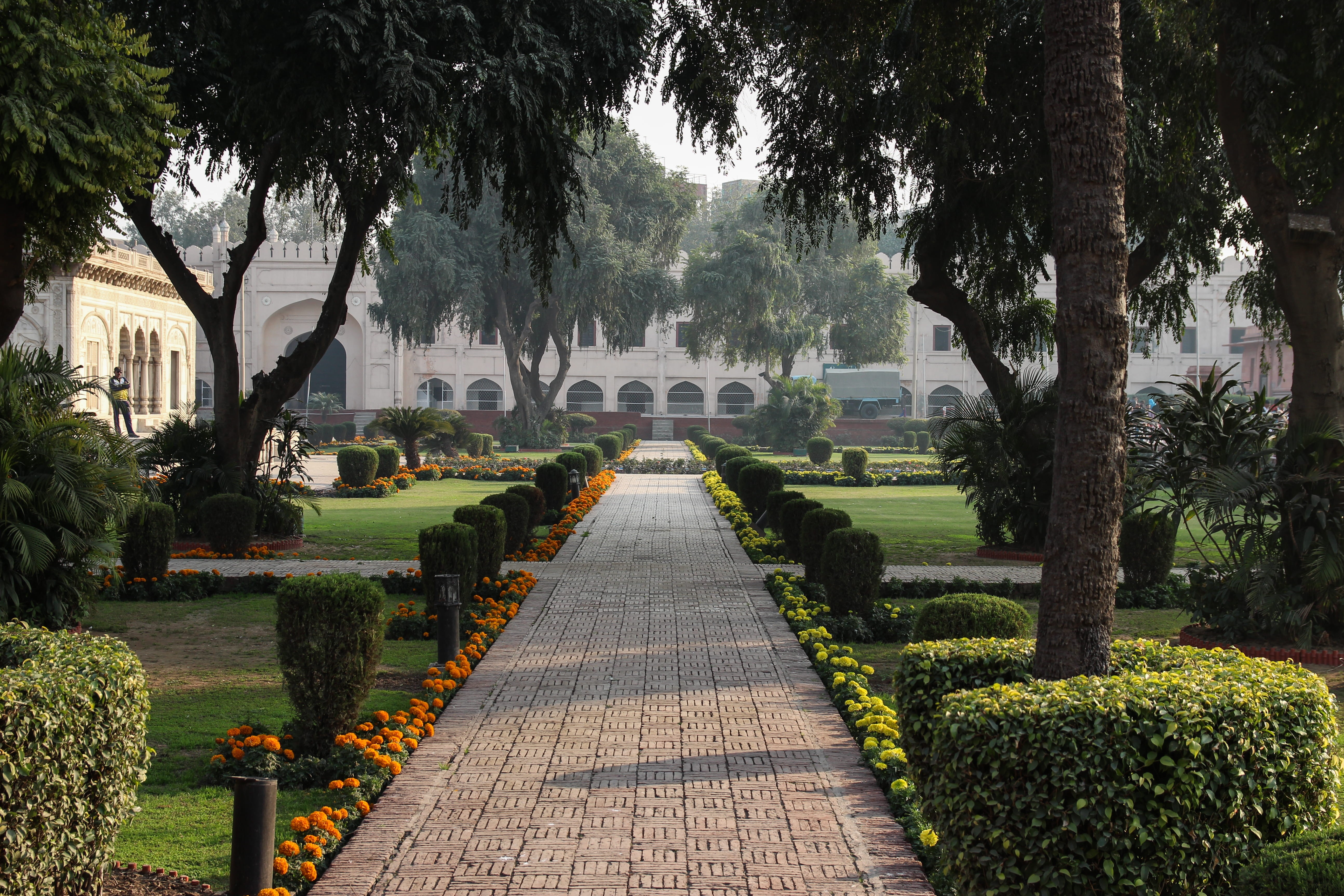 direction, nature, lahore, treelined, trees, hedge, plant, garden path, the way forward, formal garden, outdoors, architecture, 5K, diminishing perspective, HD Wallpaper