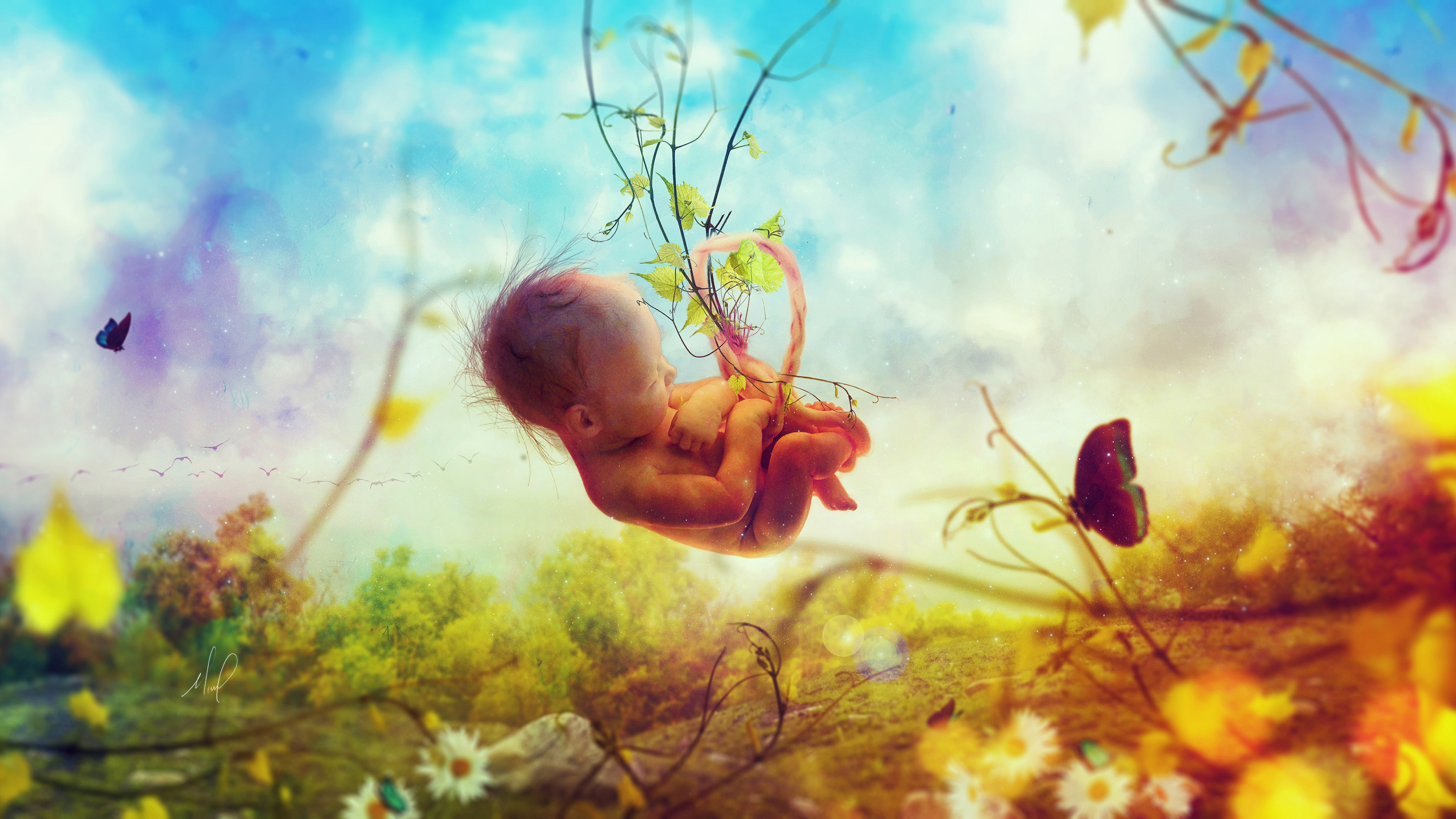 Womb, k, Baby, Creation, 8K, HD Wallpaper