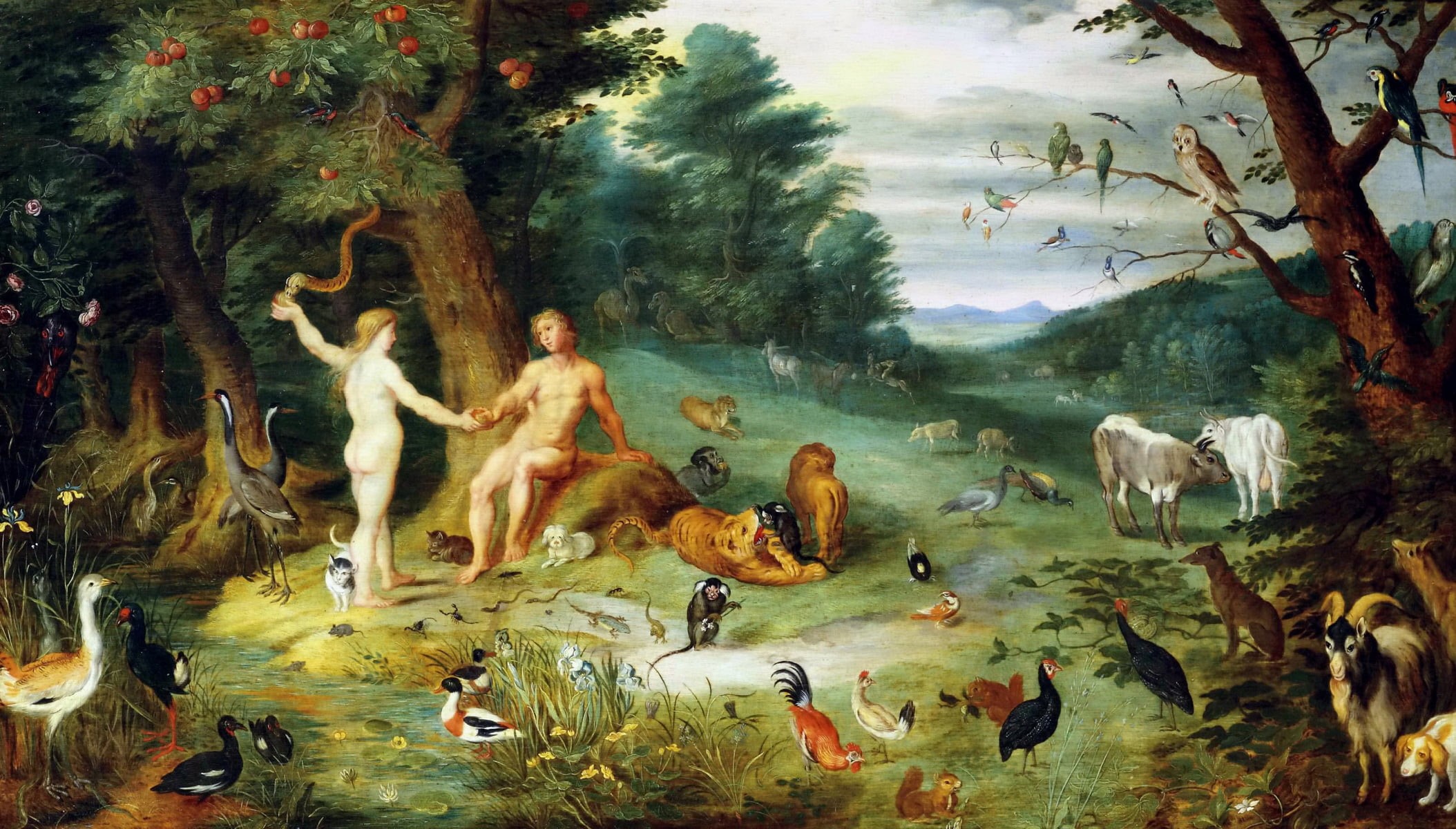 The Temptation Of Adam, tree, high angle view, lake, beauty in nature, animal themes, 1080P, reflection, mythology, outdoors, day, large group of animals, HD Wallpaper
