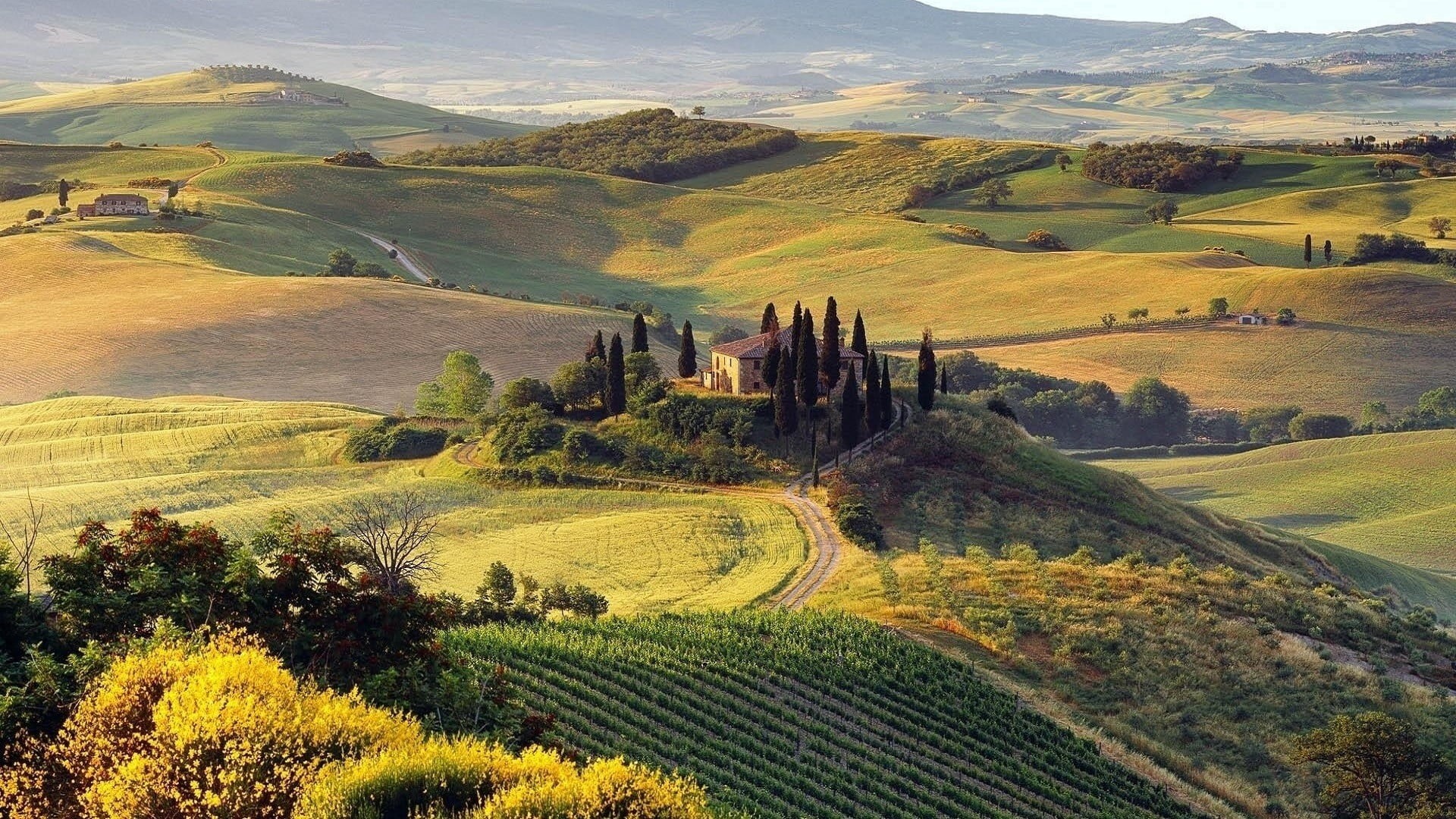 hills, 1080P, rural scene, plant, leafed, tree, green color, landscape, idyllic, green, field, beauty in nature, land, nature, non-urban scene, Italy, HD Wallpaper