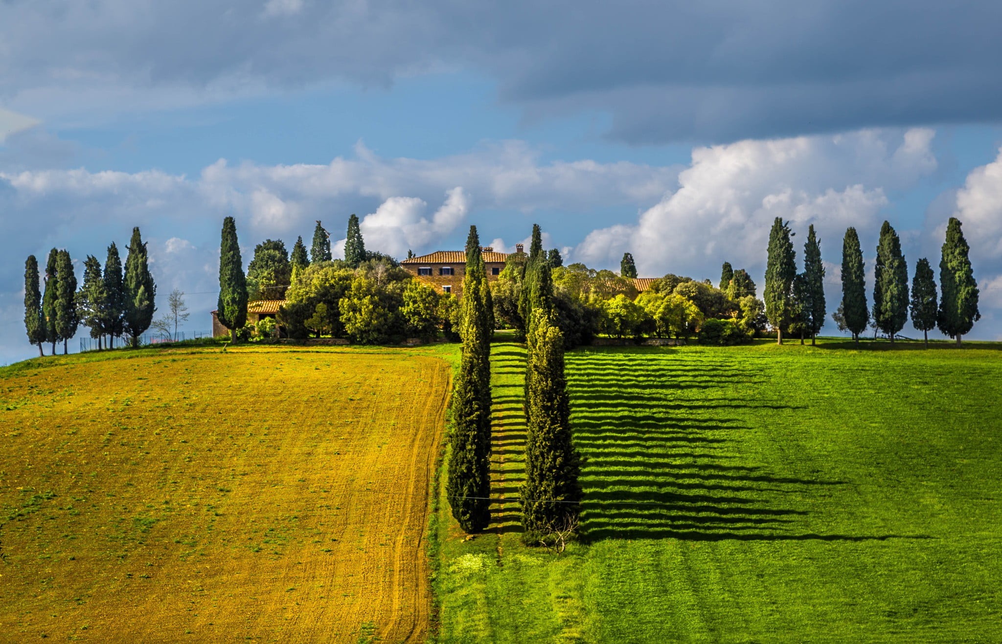 day, field, growth, land, sky, leafed, no people, green, tranquility, plantation, beauty in nature, green color, scenics - nature, clouds, plant, Tuscany, HD Wallpaper