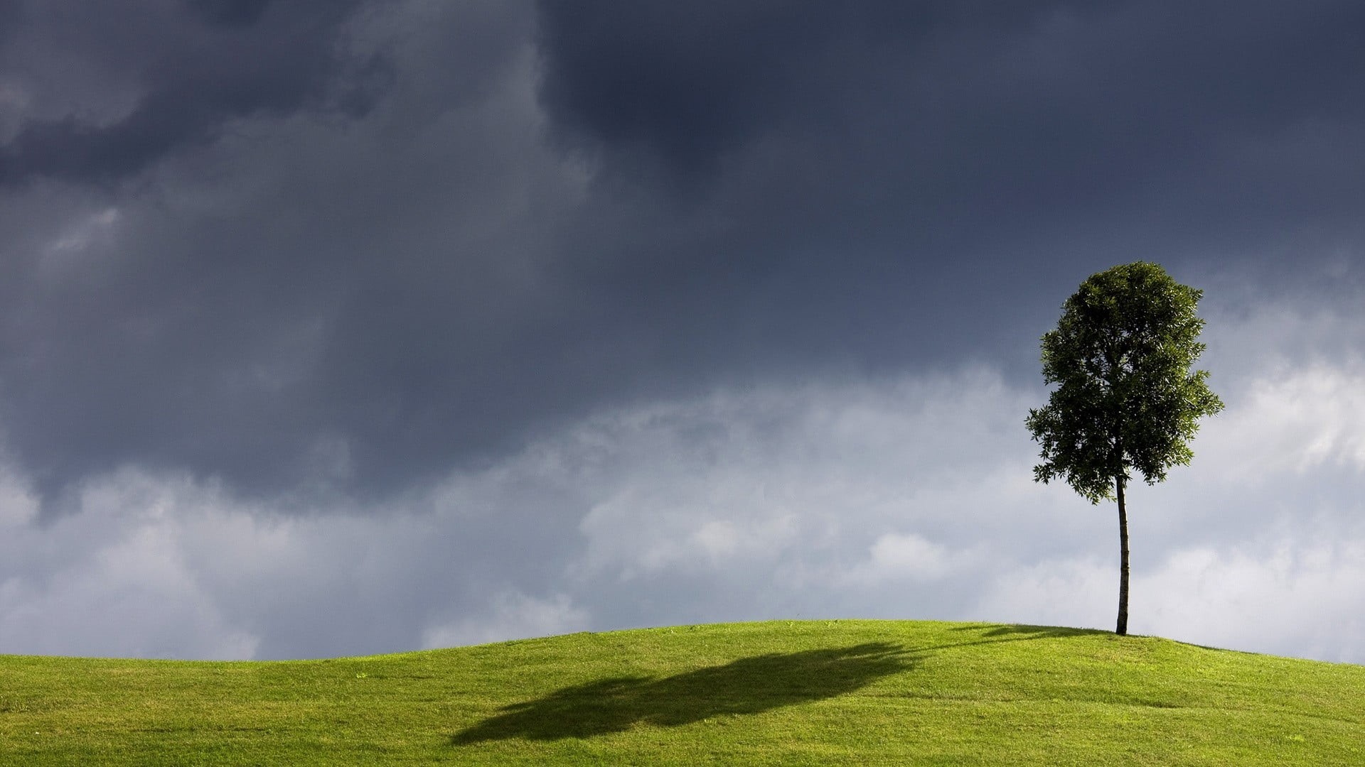 shadow, cloud - sky, tranquility, environment, day, sky, beauty in nature, land, outdoors, clouds, rolling landscape, 1080P, growth, green color, nature, HD Wallpaper