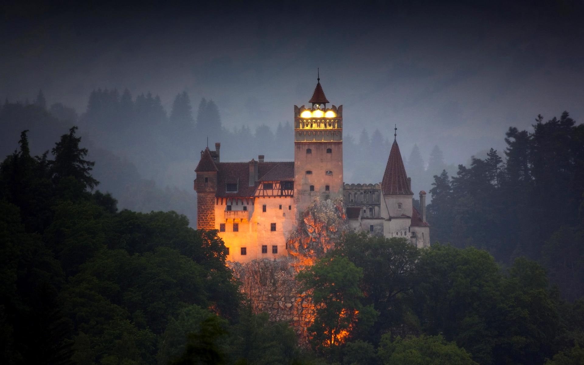 castle, 1080P, dracula, lights, animals, s, romania, trees, transylvania, foggy, misty, HD Wallpaper
