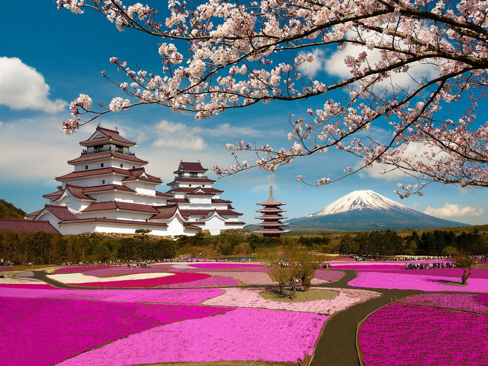 Flowers, Castle, 1080P, Aizuwakamatsu, Park, Japan, Fukushima, Cherry, HD Wallpaper