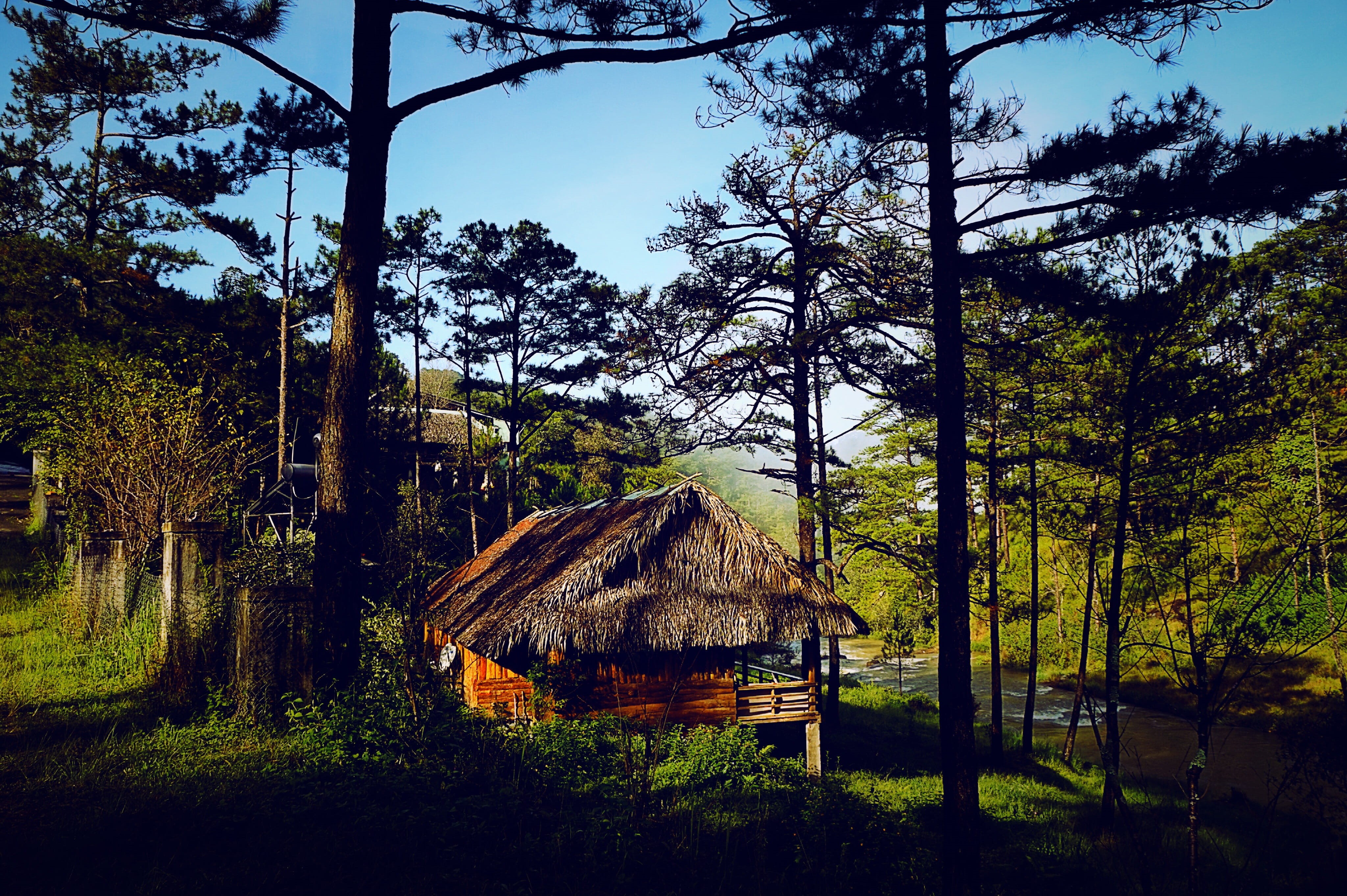 built structure, beauty in nature, outdoors, house, land, nature, sky, tranquil scene, hut, tranquility, woodland, Vietnam, architecture, tree, Golden Valley, HD Wallpaper