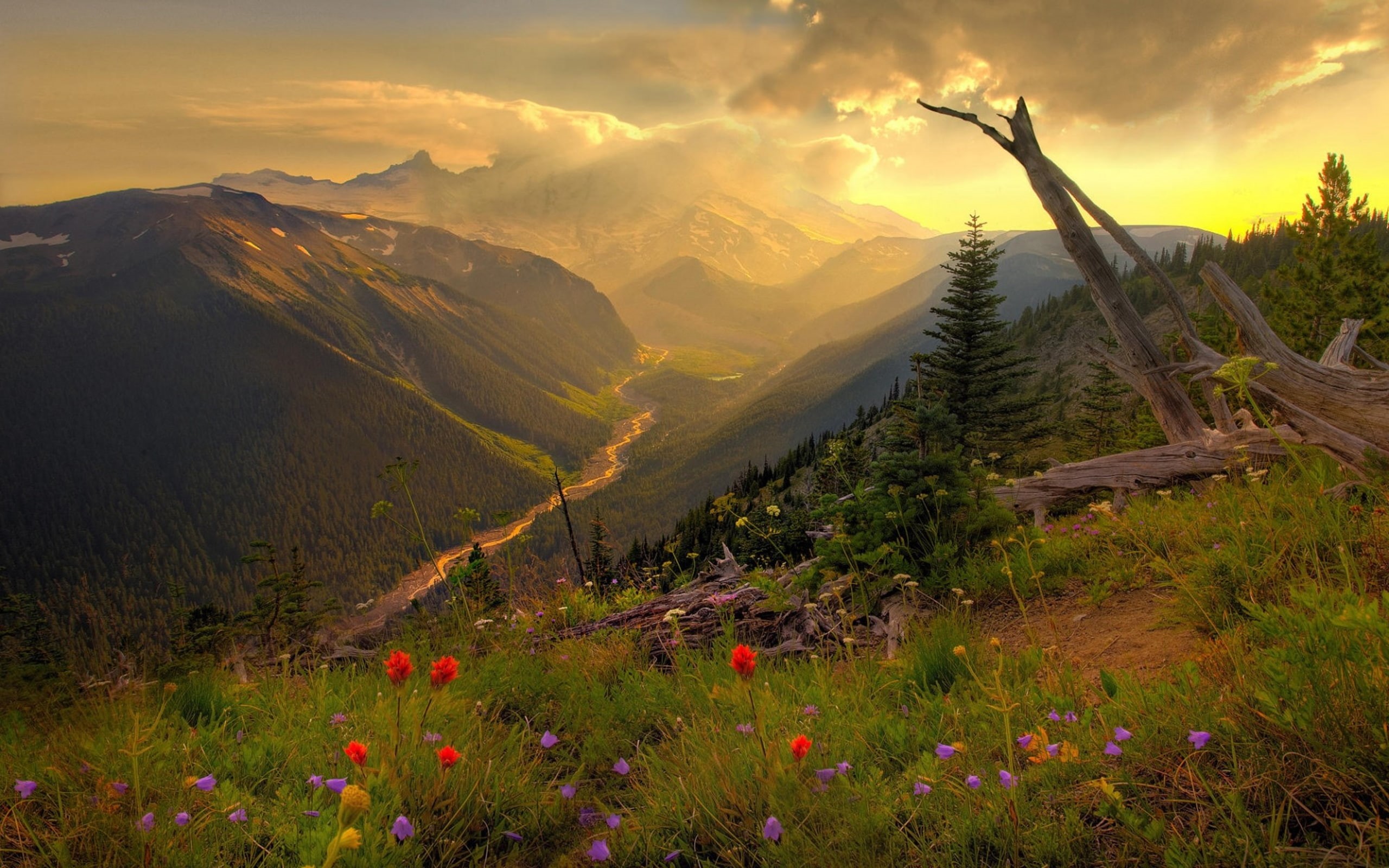 mountain, scenery, beautiful, hd, 2K, mobile, desktop, HD Wallpaper