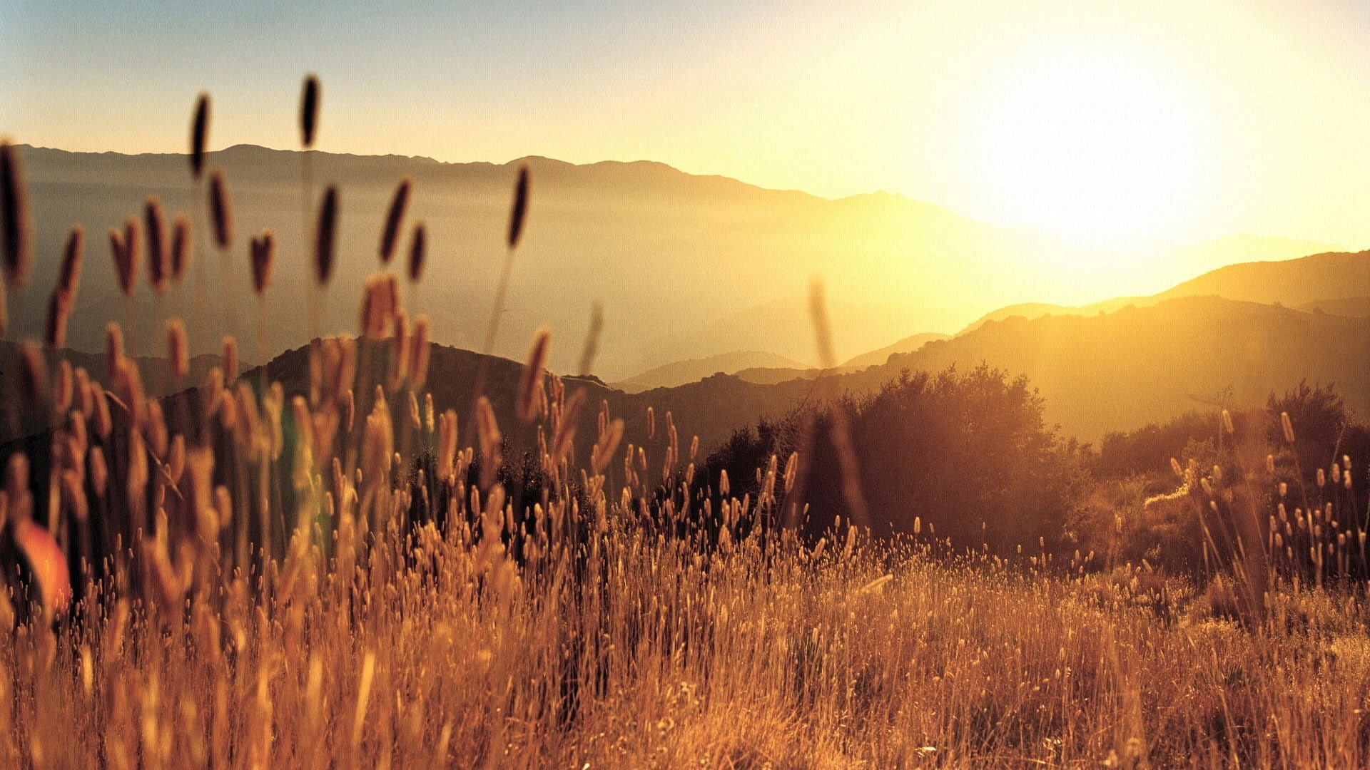 mountain, sky, land, growth, plant, sun, beauty in nature, field, nature, sunset, non-urban scene, tranquility, panoramic, environment, mountain range, HD Wallpaper