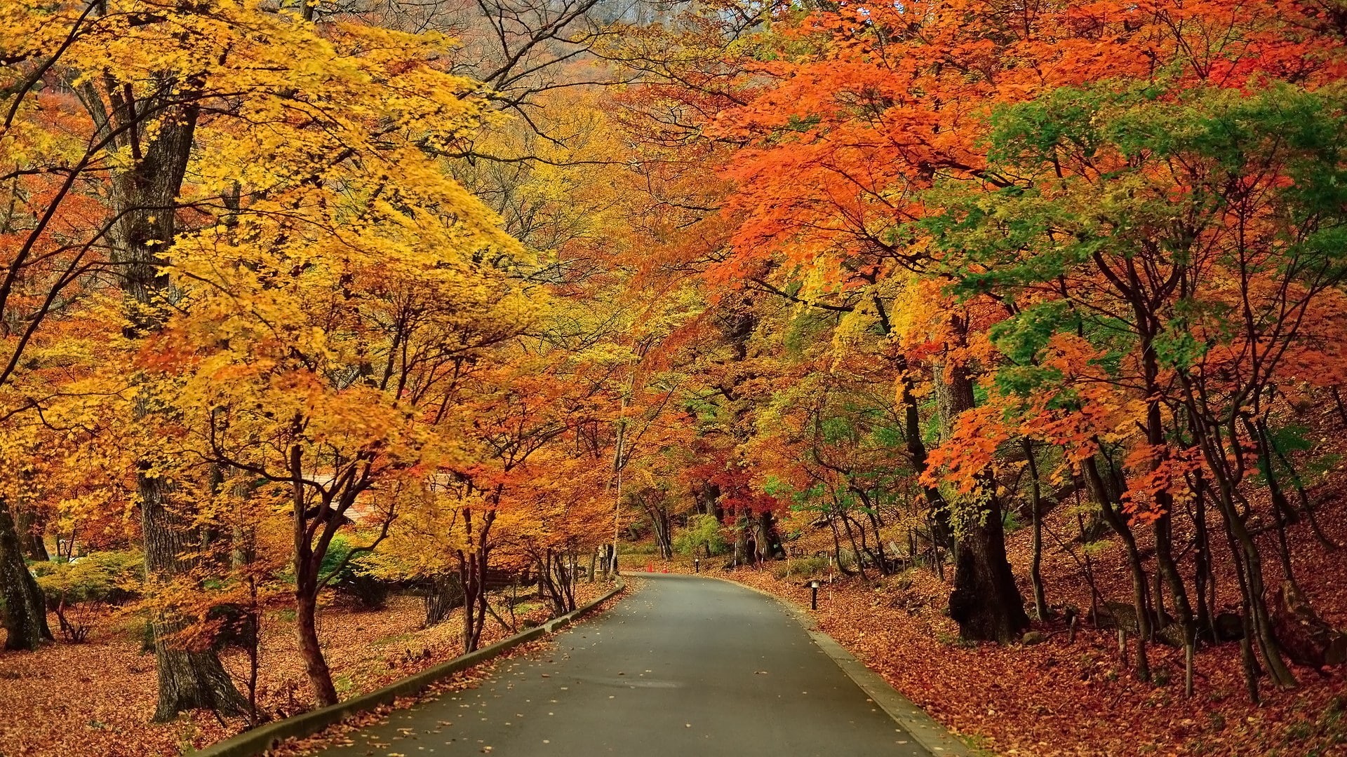 for desktop nature scenes beautiful scenery 1920x1080, 1080P, HD Wallpaper