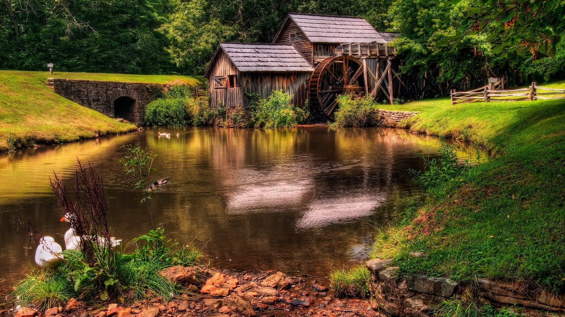 beautiful scenes of nature hd pictures 1920x1080, 1080P, HD Wallpaper
