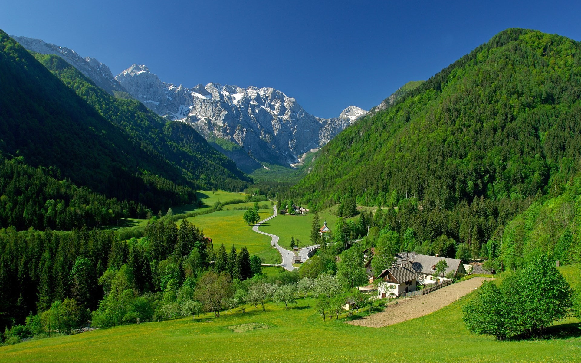 1080P, computer background  nature beauty 1920x1200, HD Wallpaper