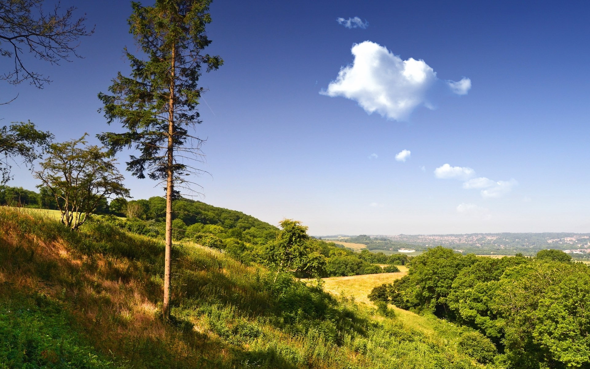 nature, non-urban scene, scenics - nature, beauty in nature, computer background  nature beauty 1920x1200, plant, environment, land, outdoors, no people, HD Wallpaper