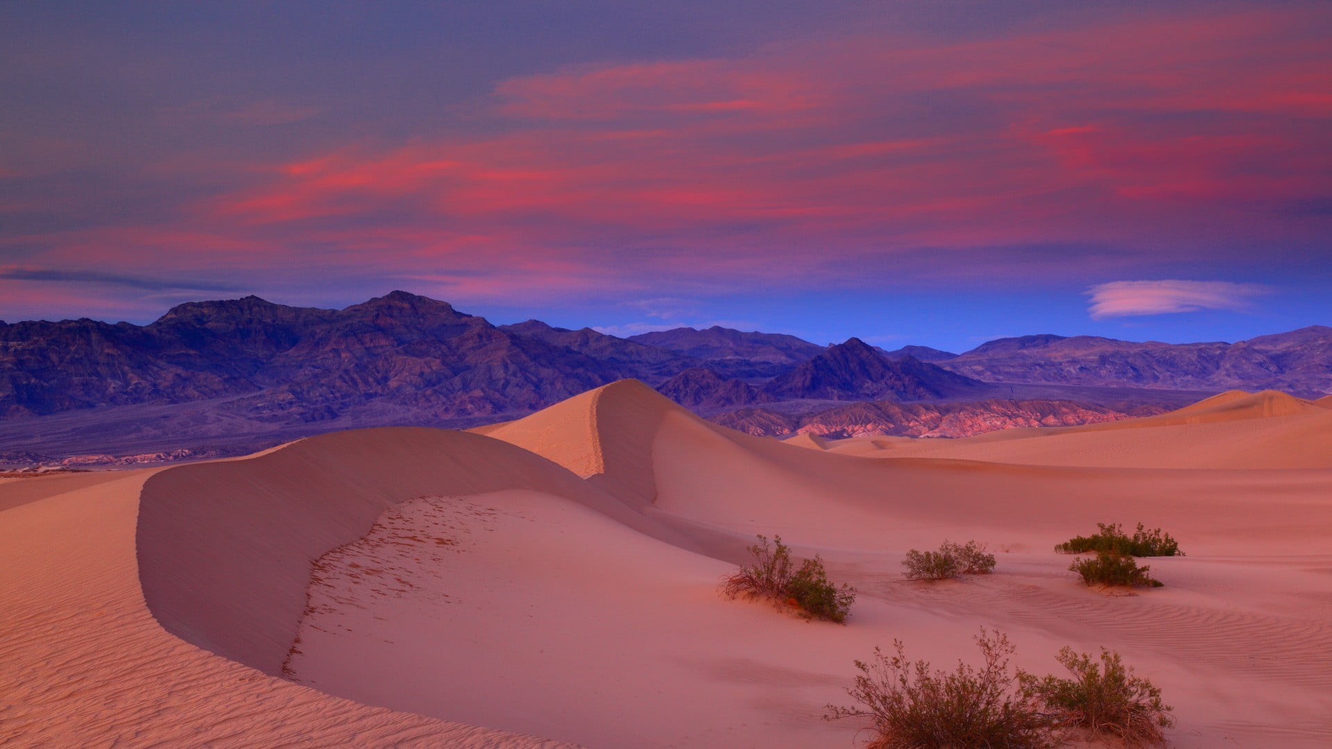 hills, no people, sand dune, 1080P, dune, climate, romantic sky, USA, plants, tranquil scene, cloud - sky, travel destinations, travel, environment, clouds, HD Wallpaper