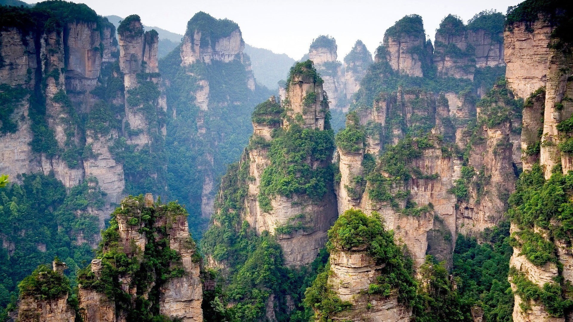 travel, tree, rock - object, rock, 1080P, rock formation, physical geography, tranquil scene, land, eroded, plant, hills, mountains, Tianzi Mountains, HD Wallpaper