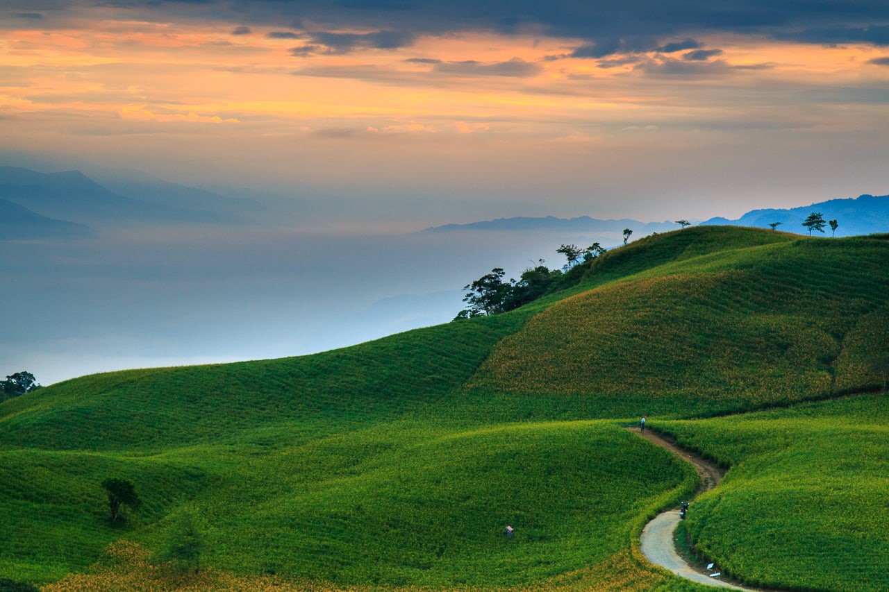 summer, grass, mountain, meadow, field, outdoors, Taiwan, tuscany, scenics, blue, sunset, sunlight, photography, yellow, IMG, landscape photography, 台灣, HD Wallpaper