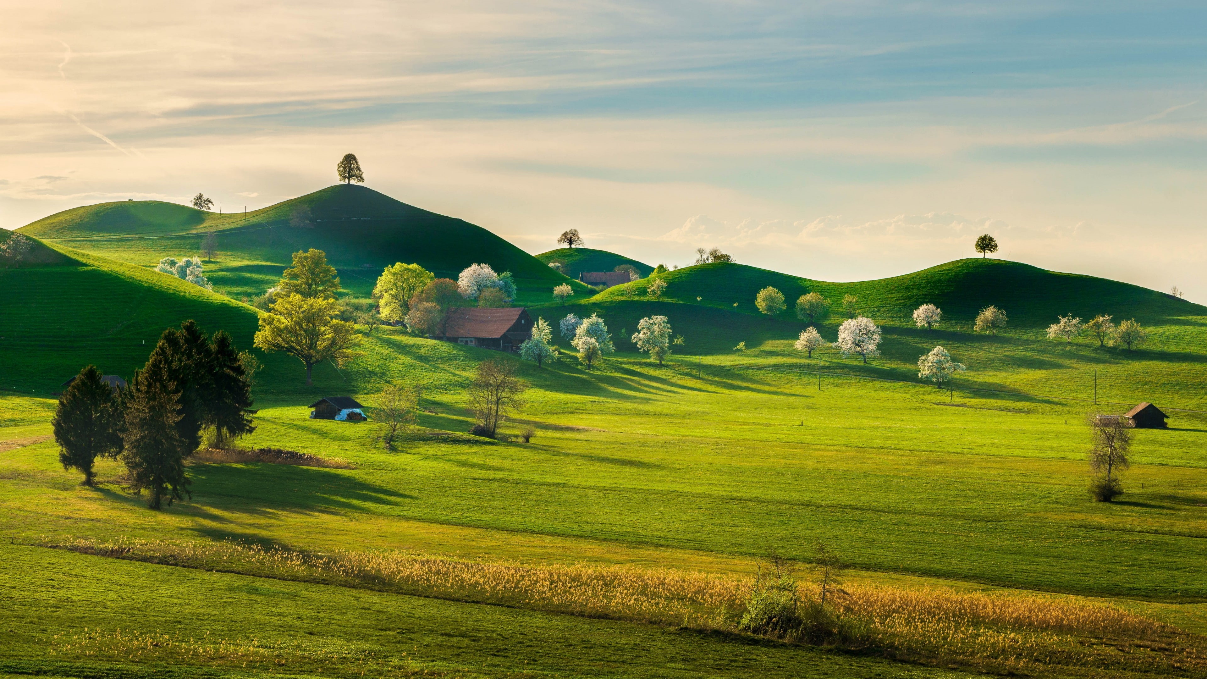 meadow, field, springtime, highland, spring, pasture, rural area, hill, plain, landscape, nature, countryside, grassland, farm, sky, 4K, HD Wallpaper
