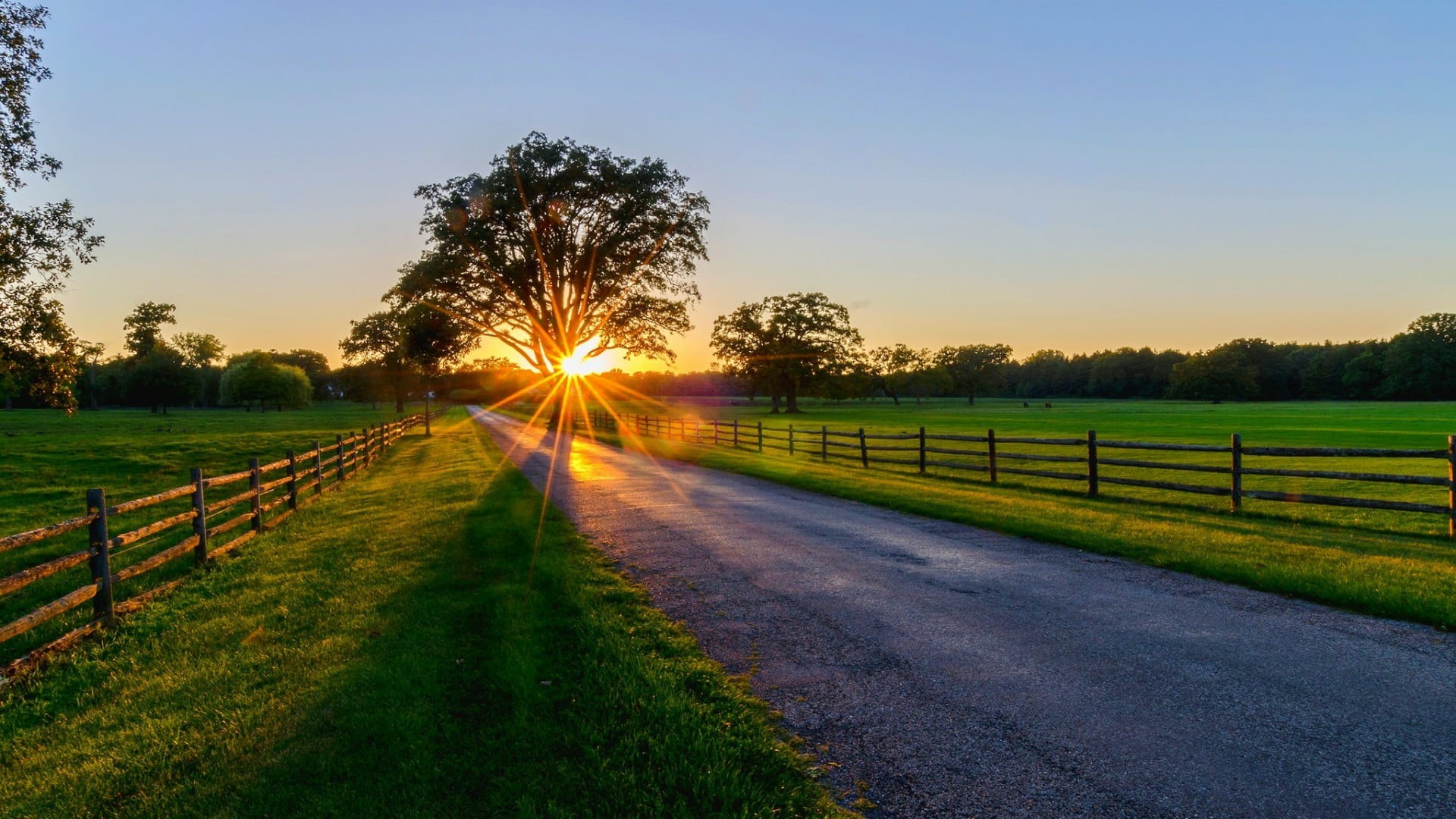 tranquility, scenics - nature, sunrise, pasture, diminishing perspective, sunlight, tranquil scene, sunset, barrier, land, dawn, morning, green color, grassland, HD Wallpaper