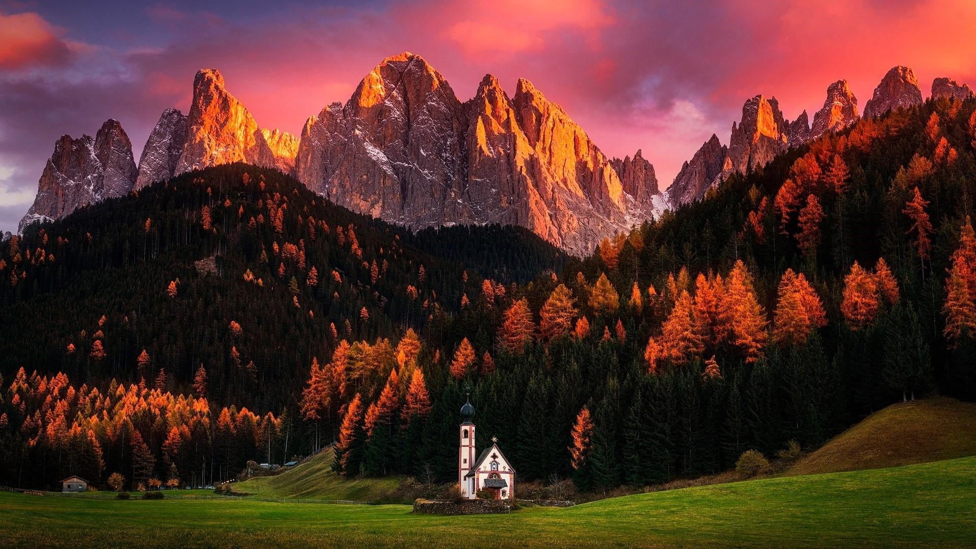 mountain, plant, dolomites, alps, europe, tranquility, sunset, outdoors, nature, mountain peak, land, coniferous tree, south tyrol, wilderness, landscape, HD Wallpaper