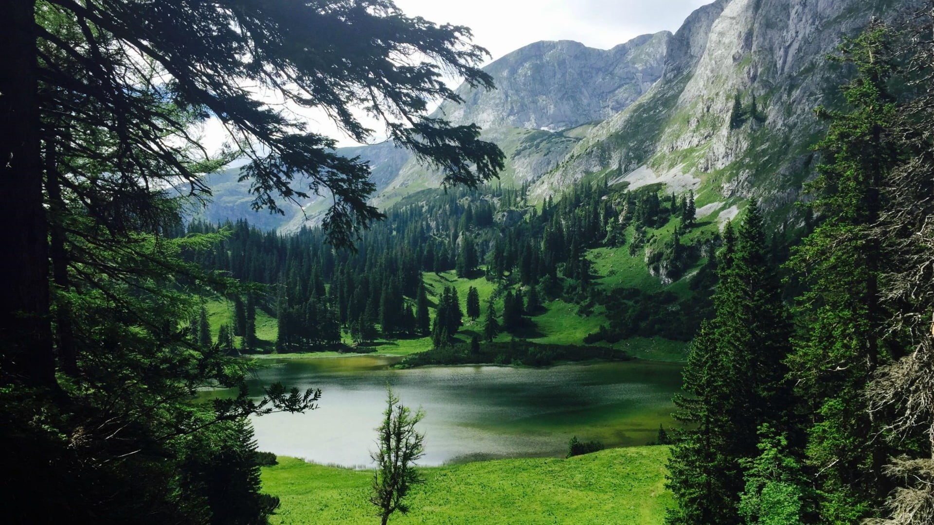 mountains, valley, environment, tranquility, no people, beauty in nature, rock, coniferous tree, hills, tranquil scene, idyllic, nature, water, tree, scenics - nature, HD Wallpaper