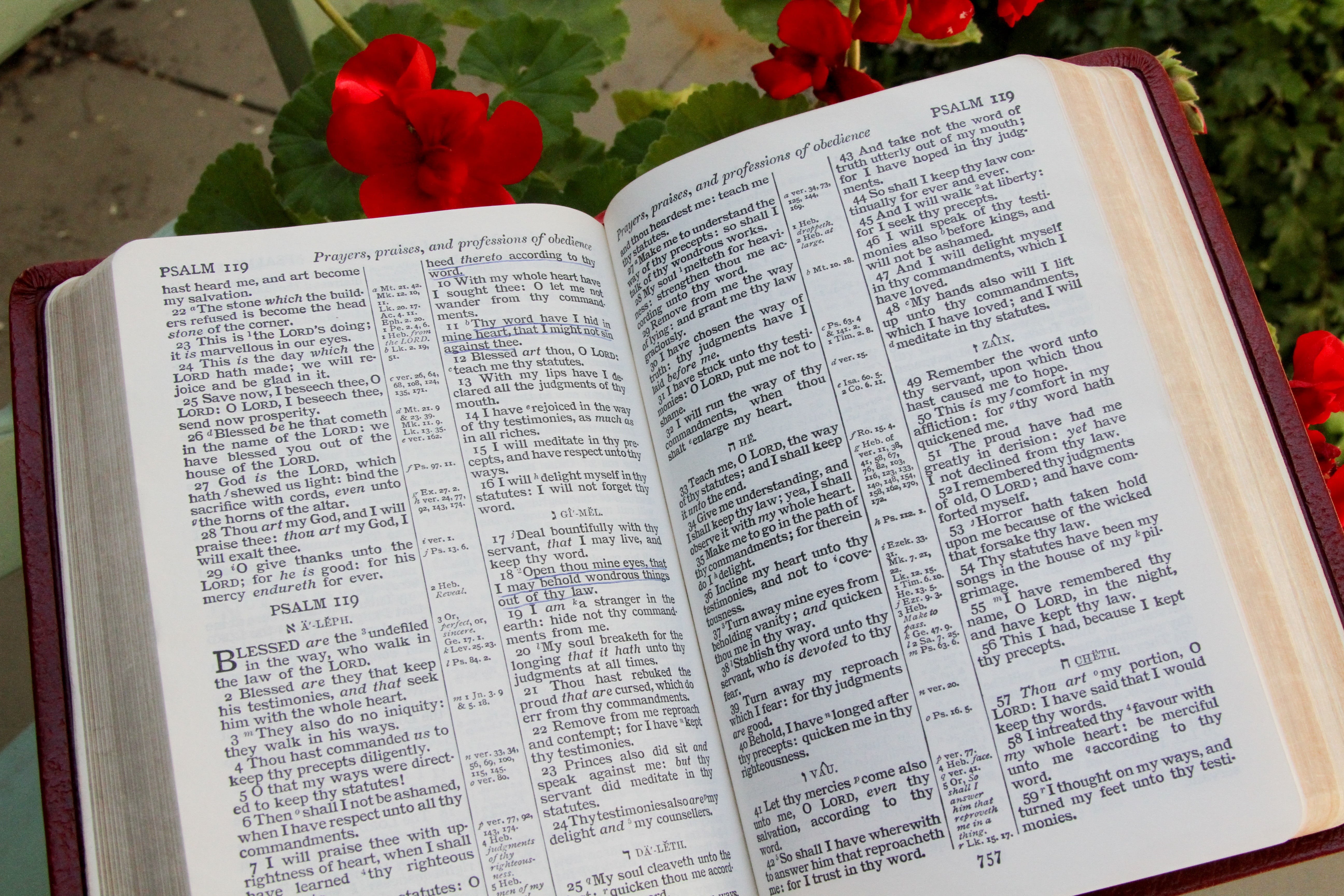 bible, word, pages, religion, spirituality, still life, paper, education, no people, psalm, christianity, nature, book, arts culture and entertainment, HD Wallpaper