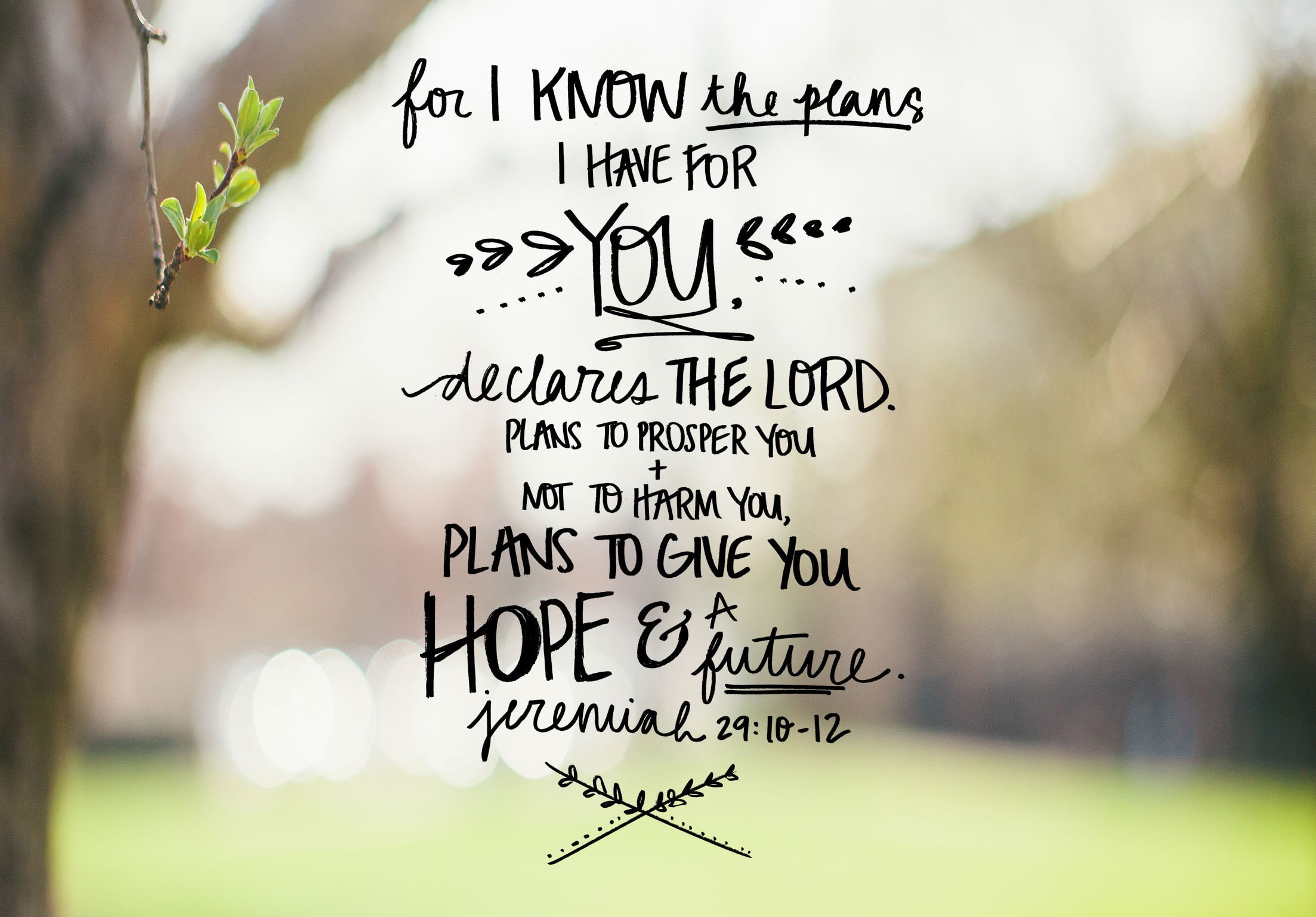 typography, religion, 1080P, quote, text, bible, verses, motivational, HD Wallpaper