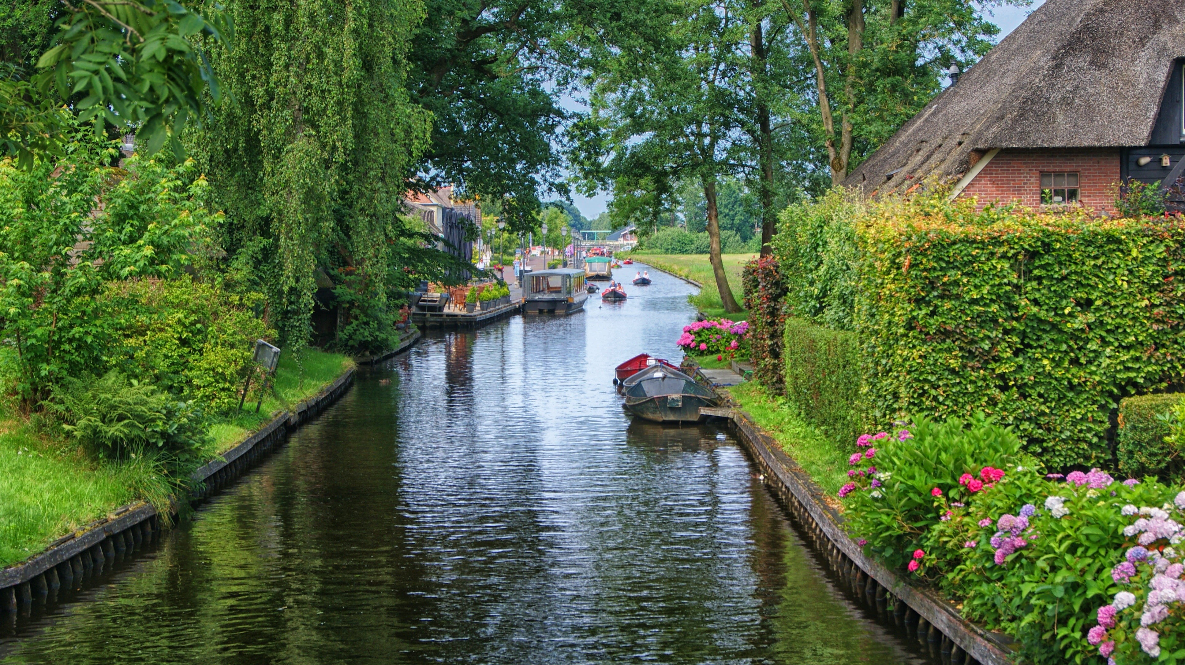 flowering plant, Water, river, Giethoorn, green color, landscape, beauty in nature, outdoors, canal, green, the wieden, building exterior, Boating, day, HD Wallpaper