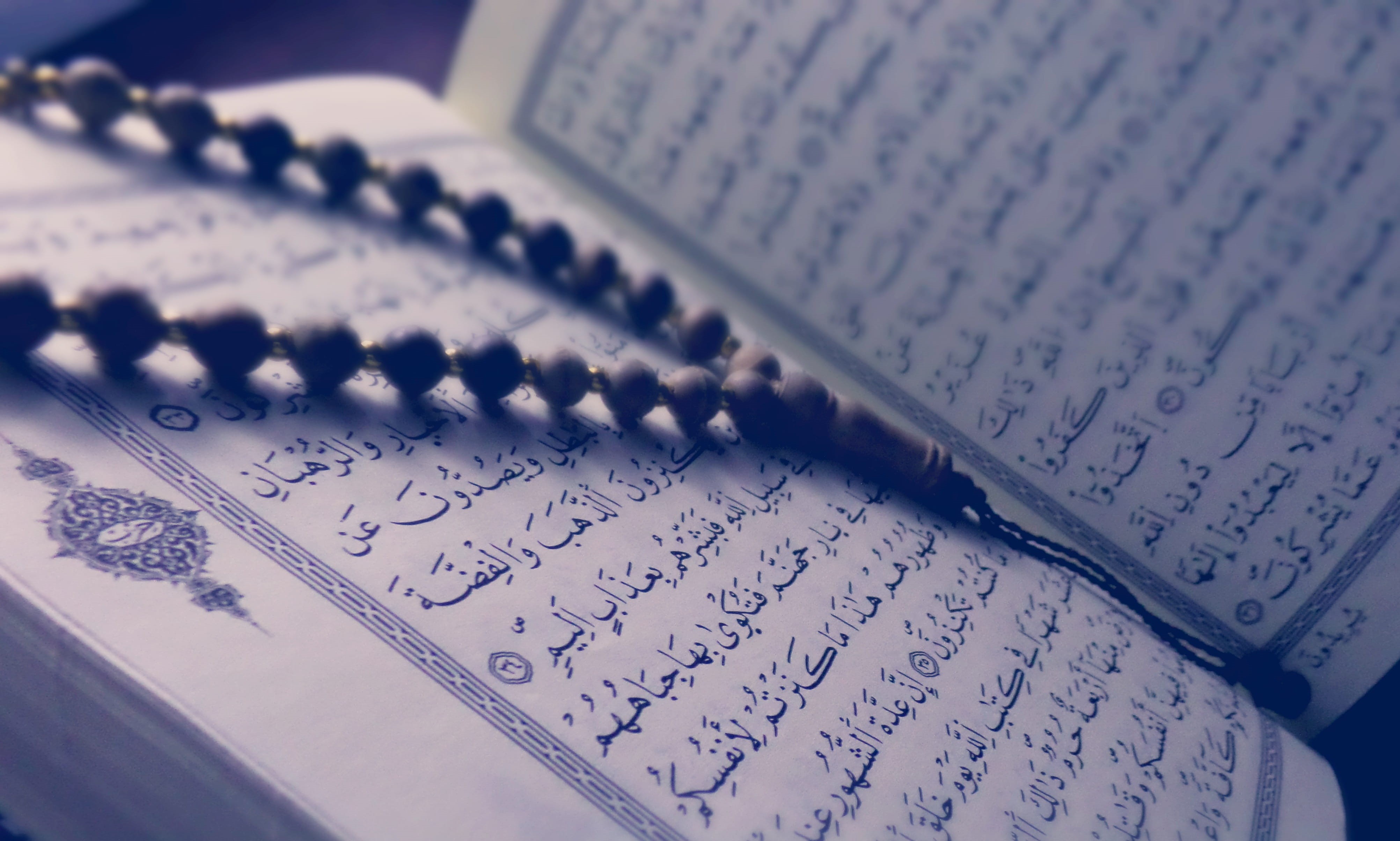 high angle view, close-up, selective focus, 4K, still life, the holy quran, the path to god, page, no people, document, script, message, the worship of god, HD Wallpaper