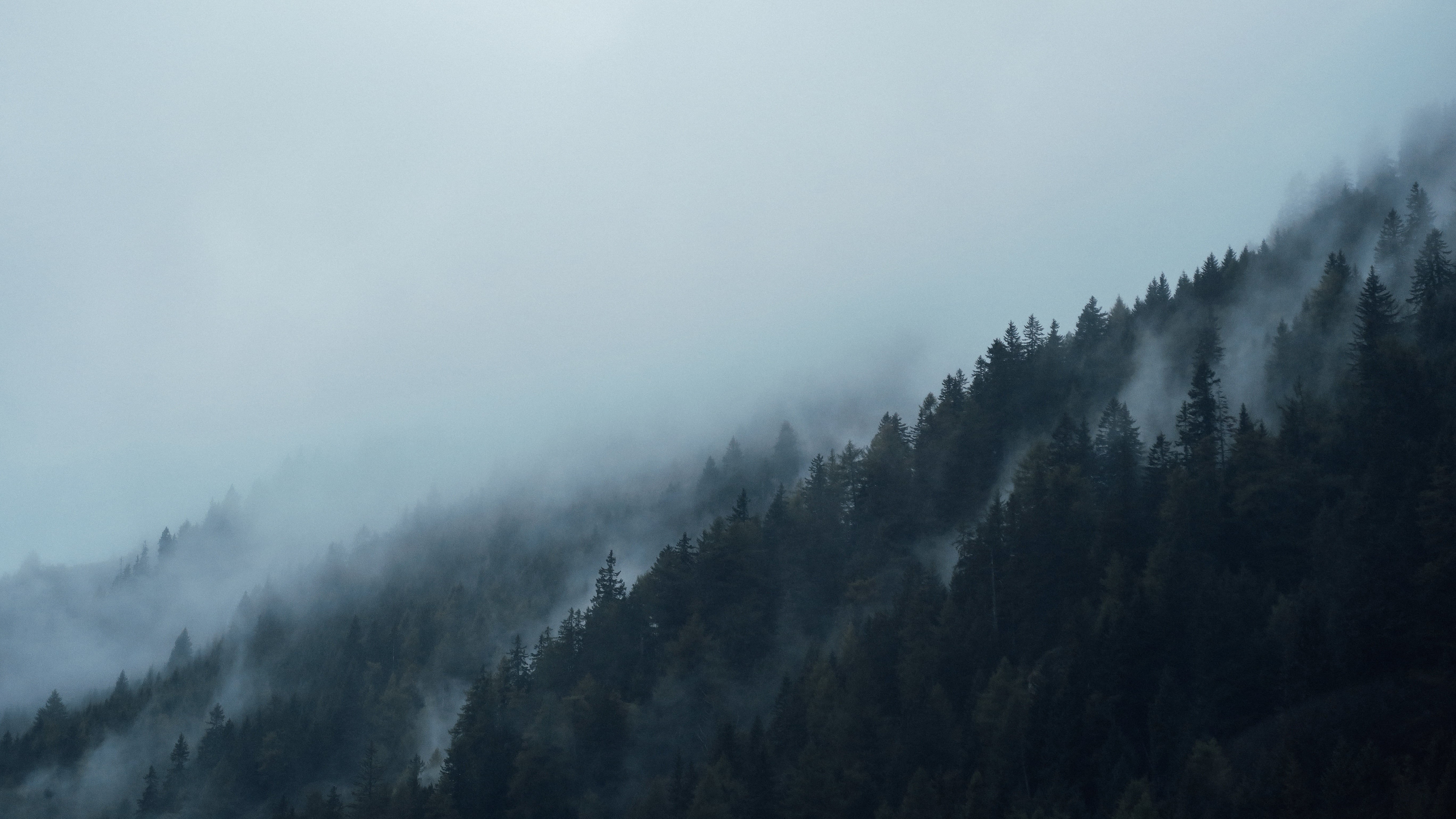 hazy, mist, tree, woodland, misty, no people, tranquil scene, 5K, aerial, trees, mountain peak, dark, landscape, land, beauty in nature, mountain, pine woodland, HD Wallpaper
