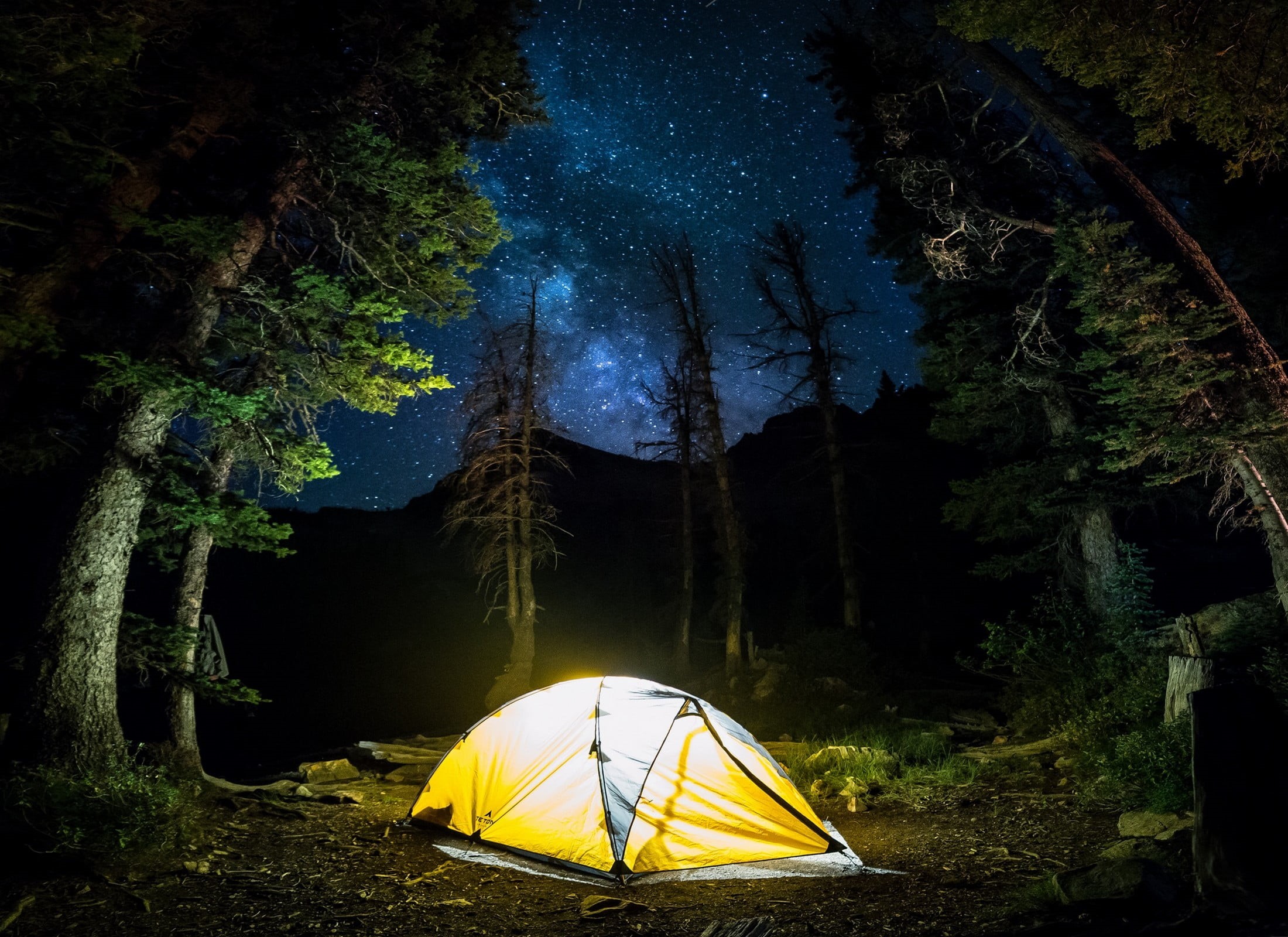 tranquil scene, land, outdoors, night, growth, no people, yellow, Milky Way, adventure, tree, dome, plant, sky, tent, camping, beauty in nature, nature, HD Wallpaper