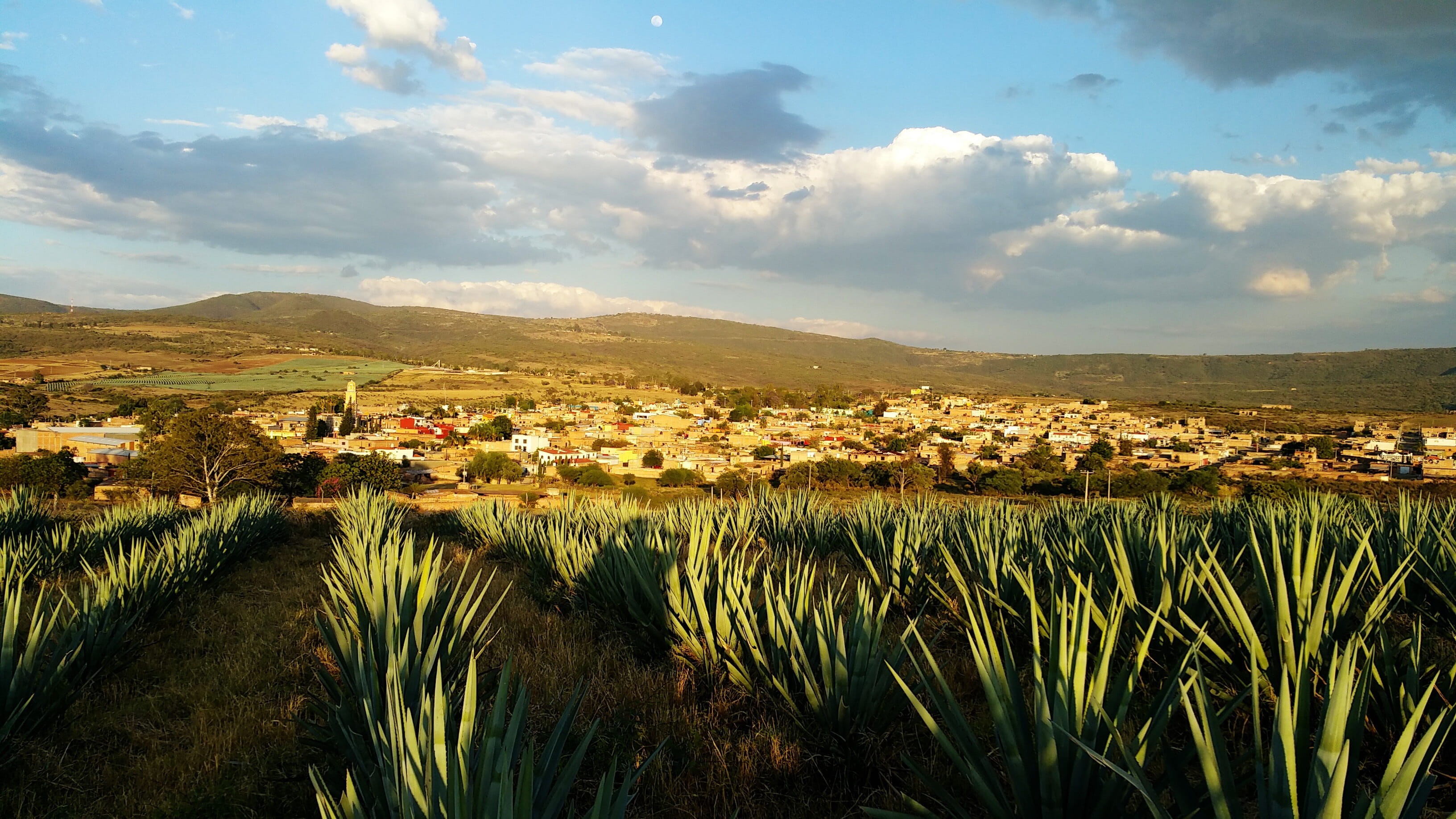 architecture, land, outdoors, Tequila, day, townscape, cloud - sky, blue, building exterior, Mexico, green, cloudy, sky, plants, tranquil scene, no people, HD Wallpaper