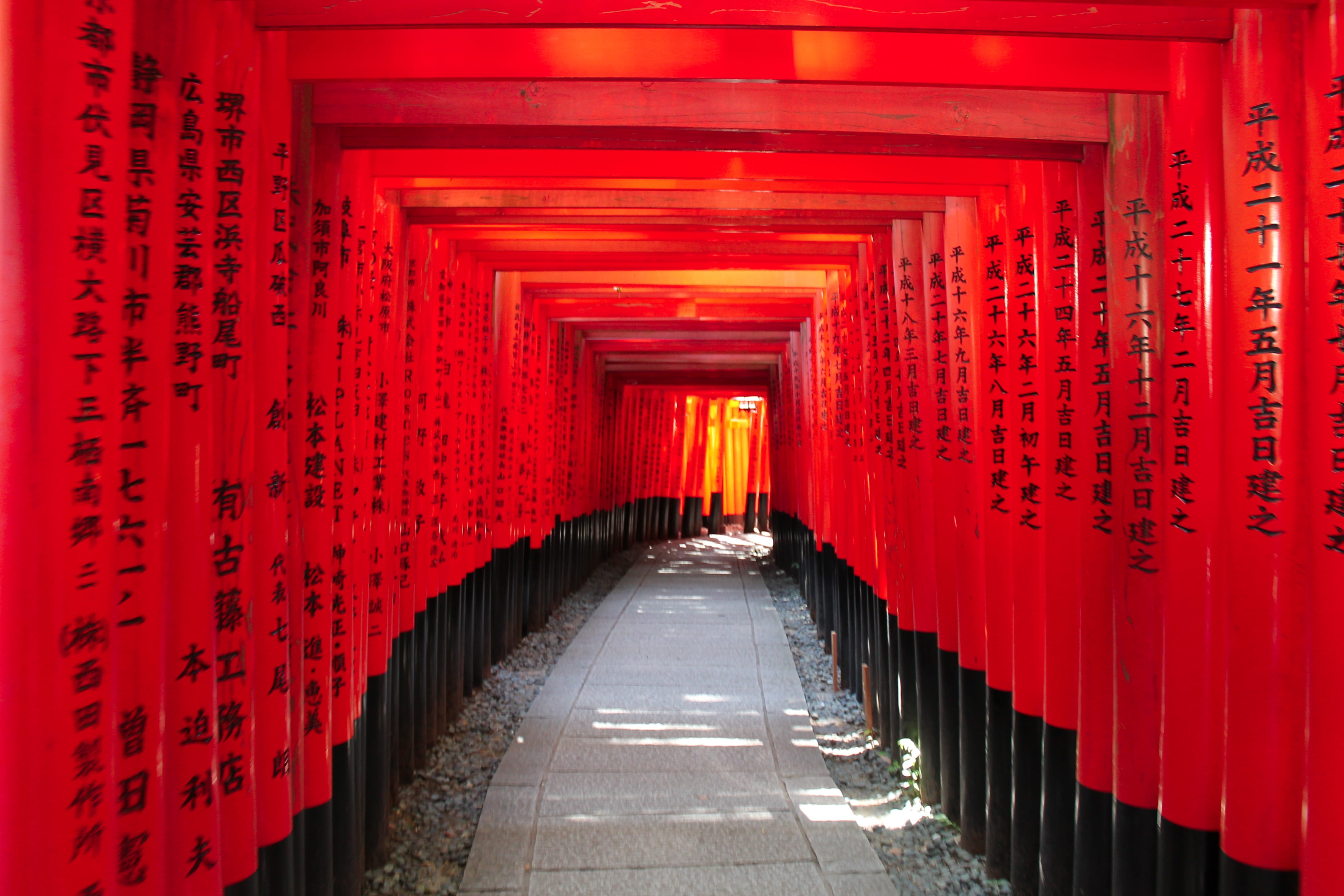 spirituality, kyōto-shi, place of worship, kyoto, temple, in a row, footpath, text, direction, religion, red, 4K, diminishing perspective, building, architecture, HD Wallpaper