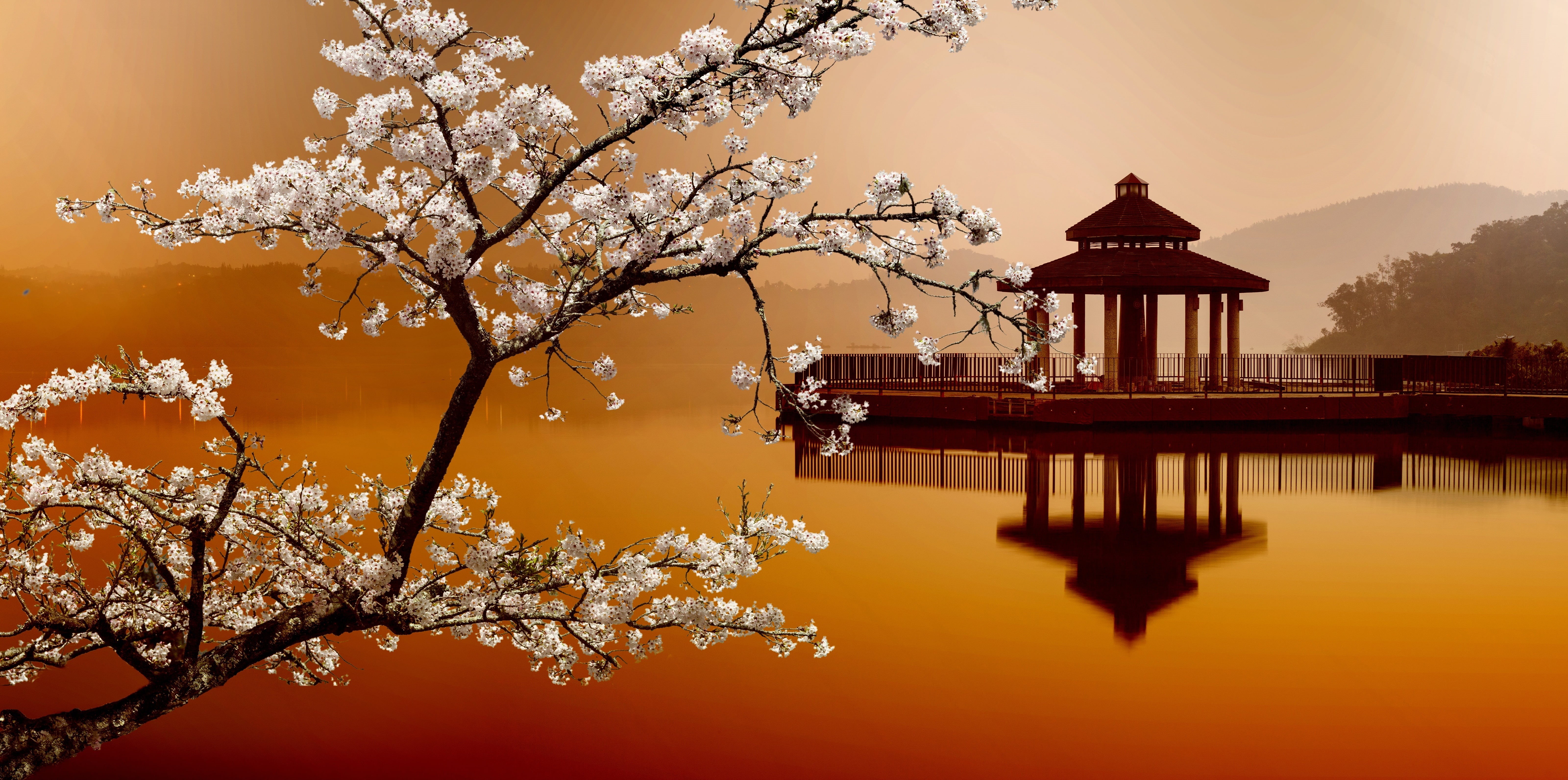 house on the water, springtime, japanese Culture, wood - Material, brown, tree, blossom, built Structure, architecture, sky, east Asian Culture, pond, Sakura, HD Wallpaper