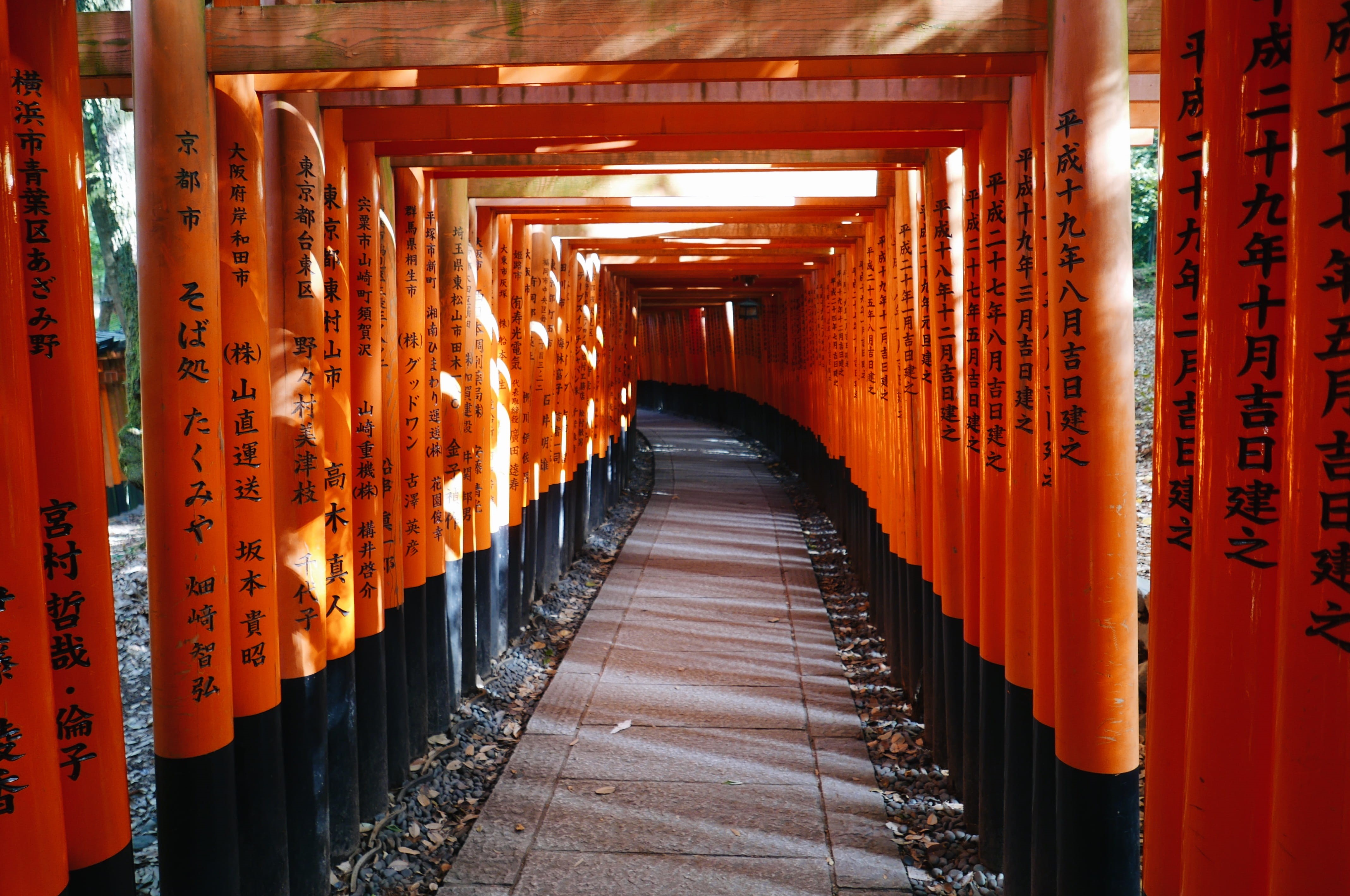 book, panasonic, non-western script, religion, shinto, travel, gate, belief, japan, corridor, thousand, long, direction, japanese, architecture, place of worship, HD Wallpaper