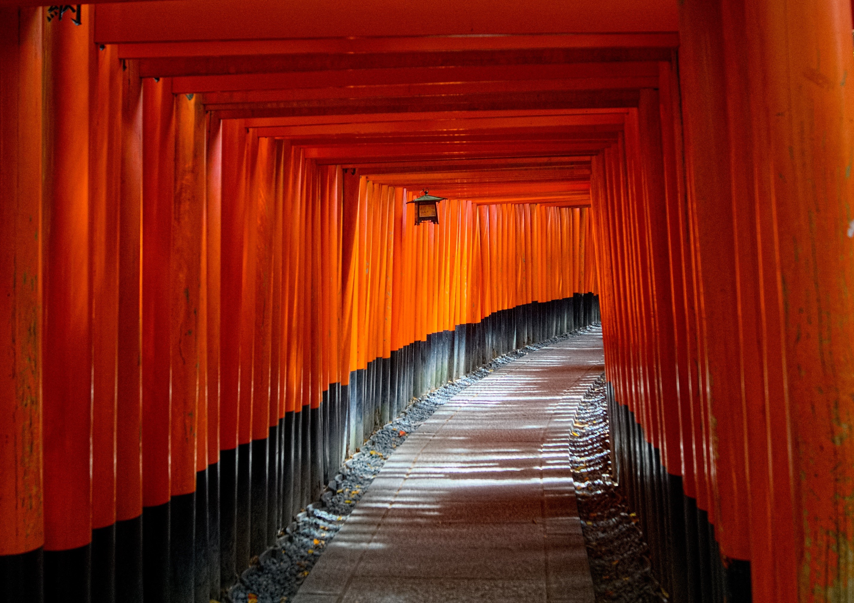 torii gate, black, architectural column, fushimi Inari Shrine, architecture, cultures, daytime, 2K, place of worship, travel destinations, diminishing perspective, HD Wallpaper