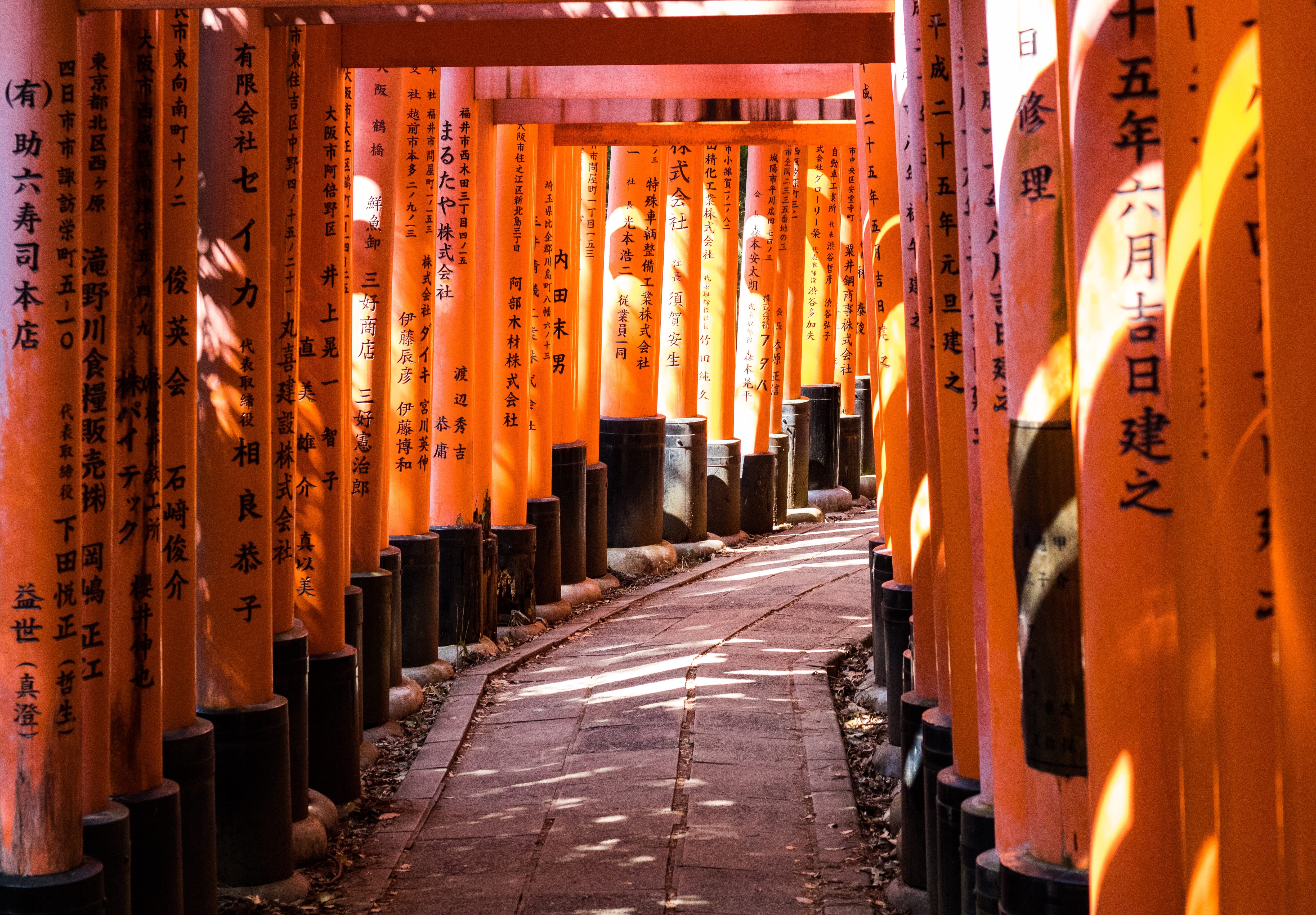 orange color, shadow, building, architecture, shrine, in a row, kyōto-shi, japan, place of worship, travel, religion, lined, torii, walkway, hiking, tunnel, HD Wallpaper