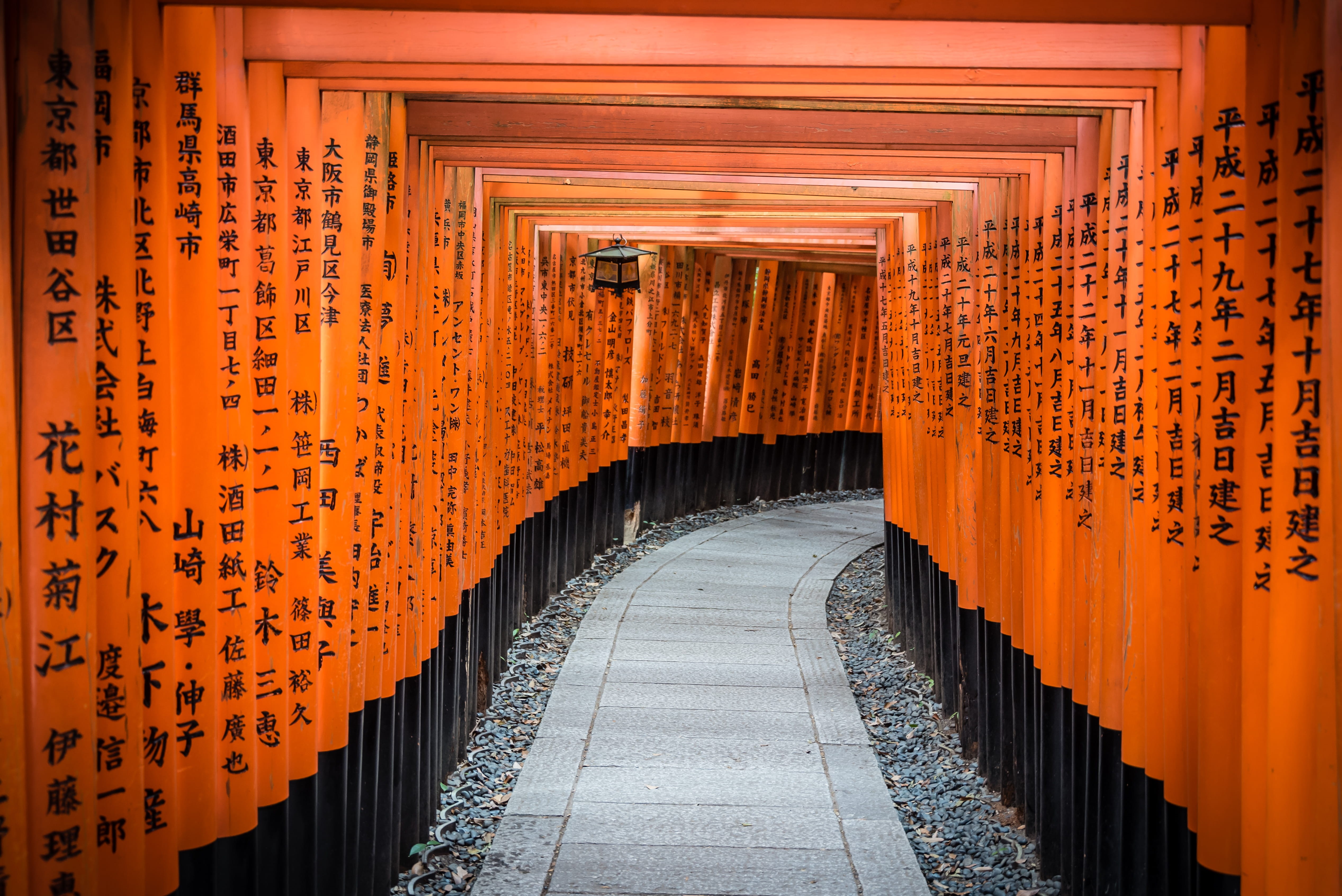 36-7 fukakusa kaidochō, the way forward, path, building, spirituality, pillar, outdoors, script, asia, diminishing perspective, place of worship, empty, HD Wallpaper