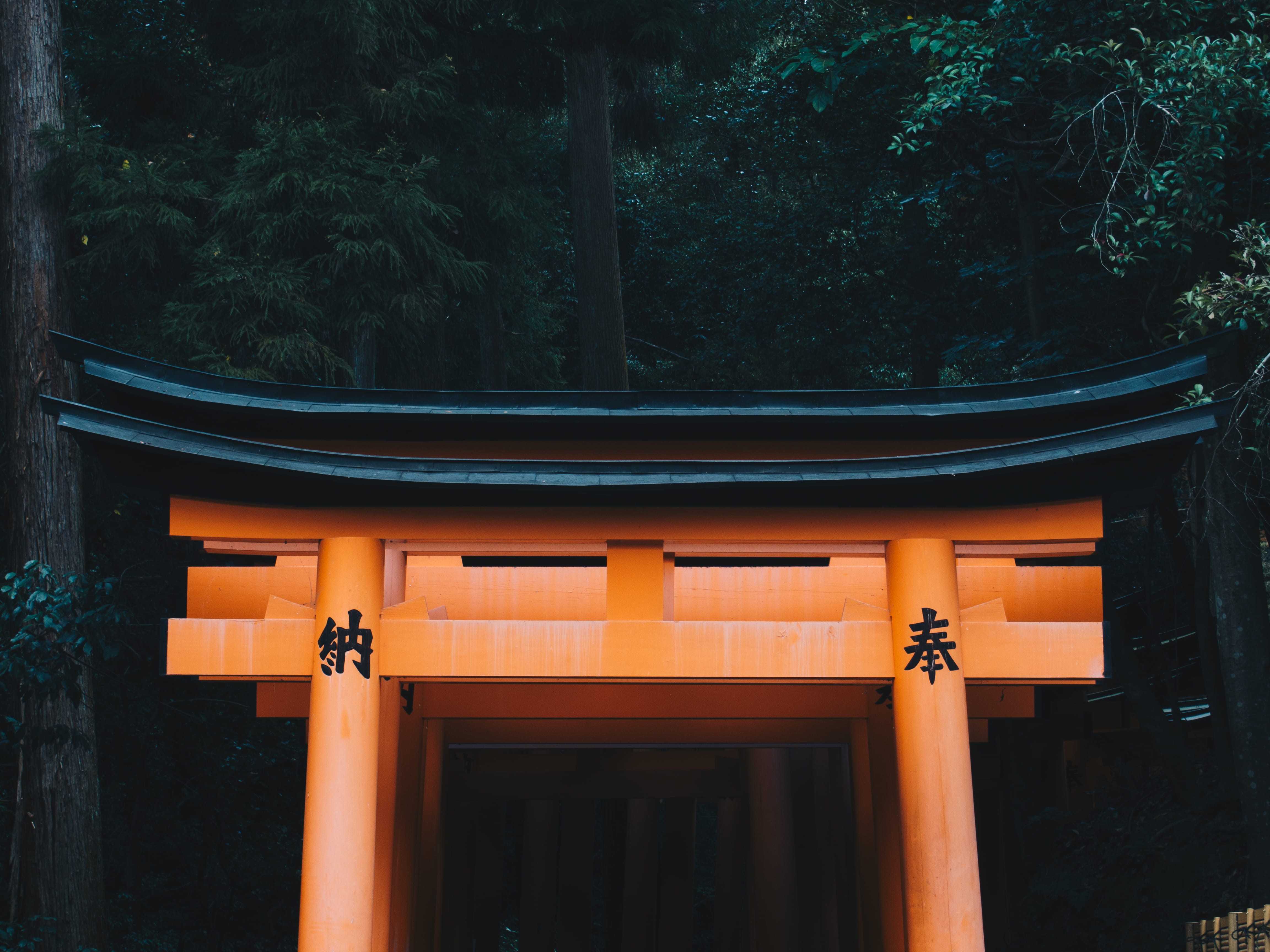 kyoto, building, shrine, architectural column, no people, 4K, architecture, pillar, religion, door, black, tree, brown, torii, nature, wooden, column, HD Wallpaper