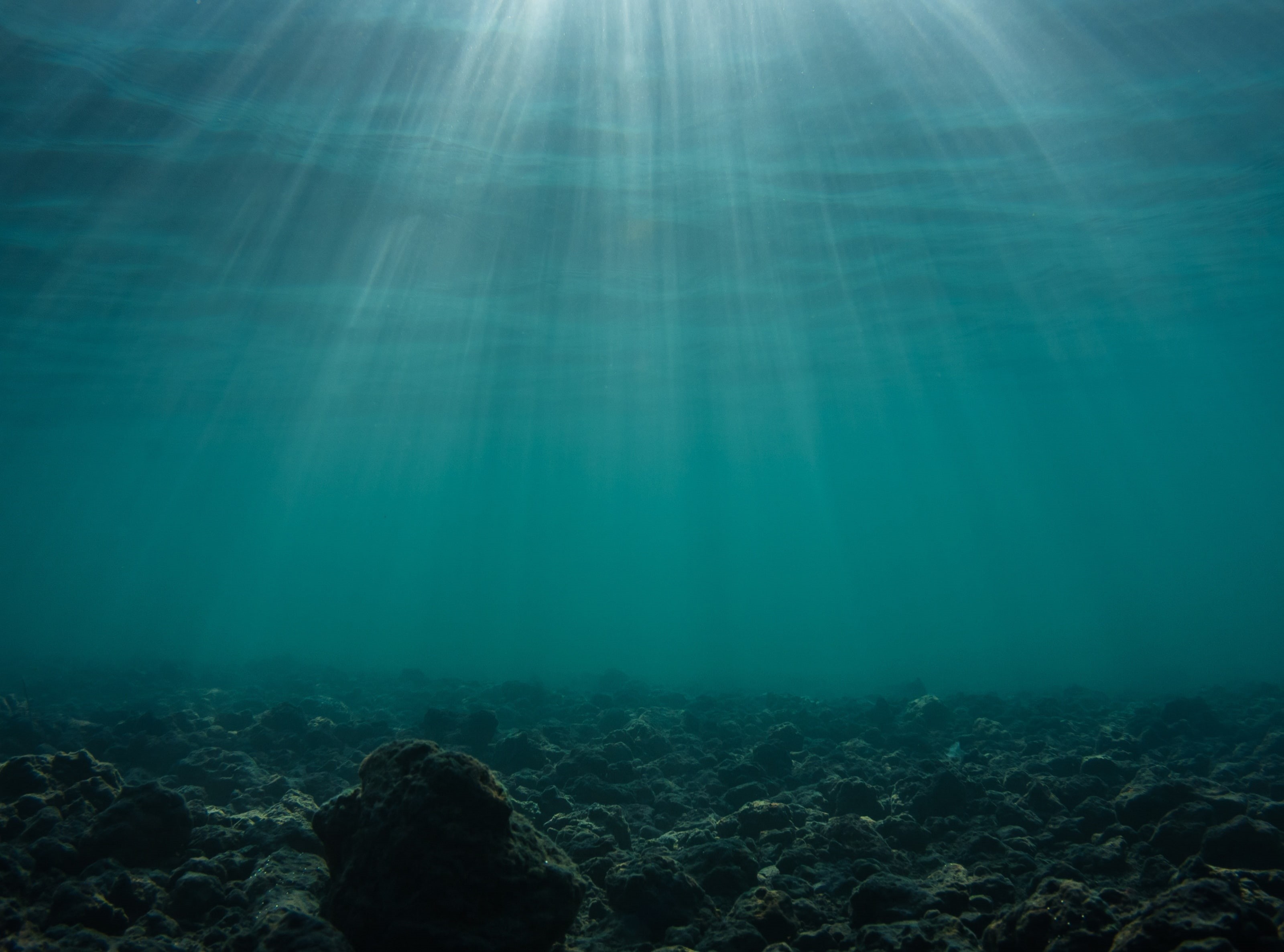 tranquility, sea life, Waterscape, rock, nature, Underwater, Lake, Color, rock - object, marine, body, canon, outdoors, Asia, Fujikawaguchiko, motosuko, HD Wallpaper
