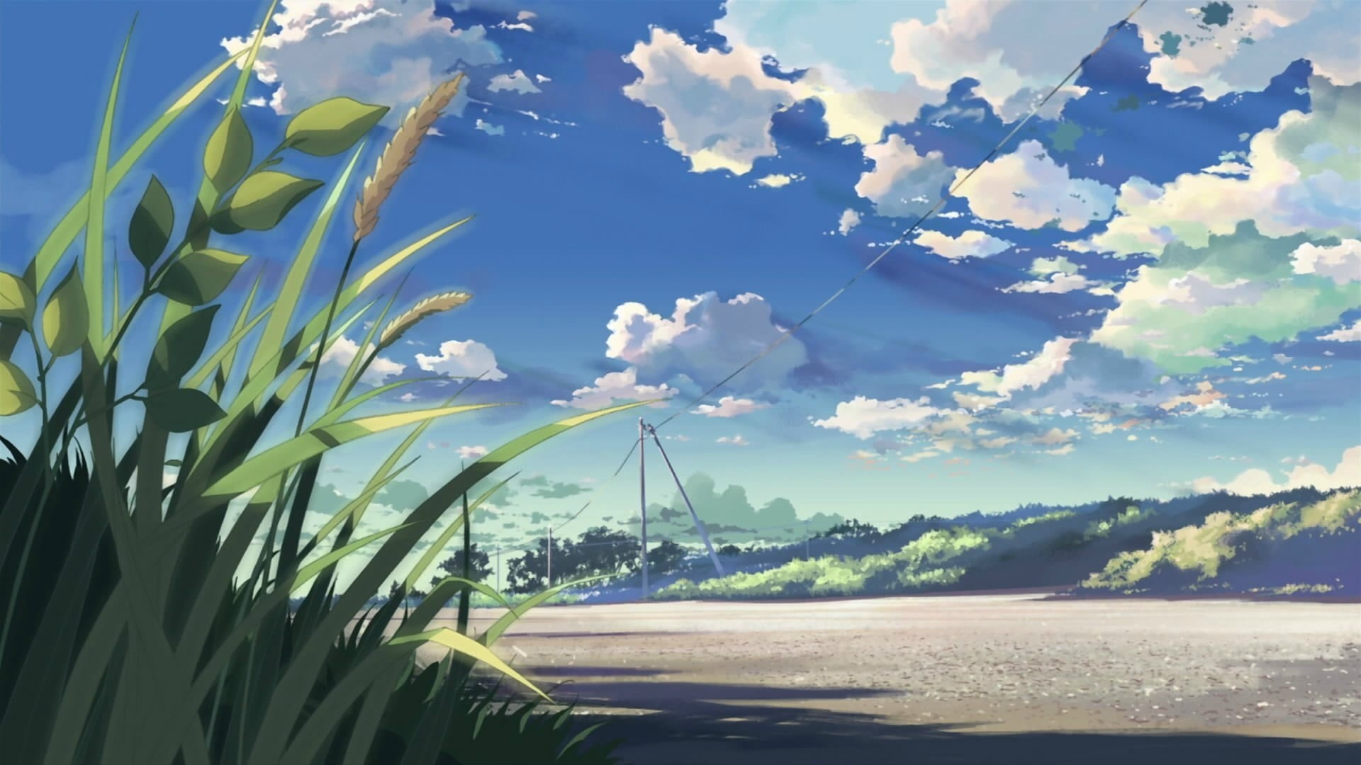 flowering plant, beach, beauty in nature, sky, outdoors, day, anime, reeds, sunlight, water, tranquility, sea, scenics - nature, 5 Centimeters Per Second, HD Wallpaper