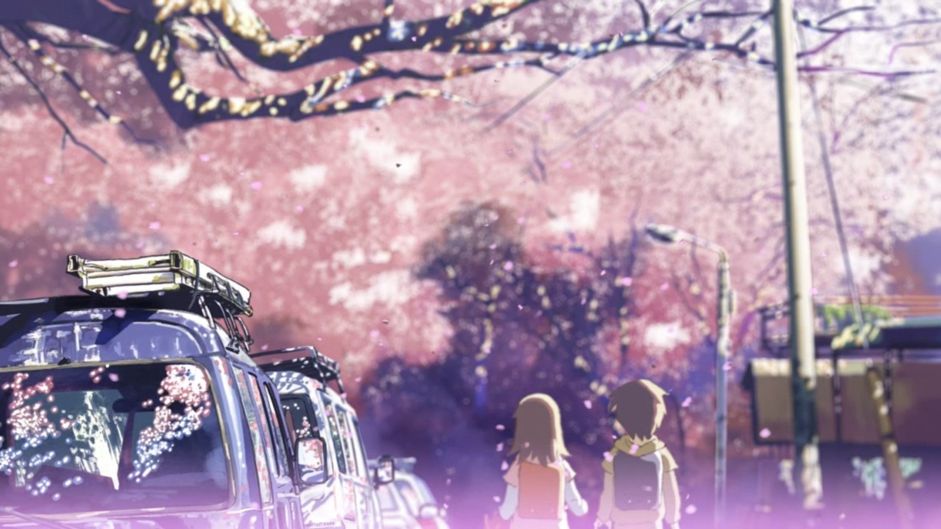 focus on foreground, illuminated, celebration, flowering plant, 5 Centimeters Per Second, snowing, plant, cherry tree, anime, adult, glass - material, group of people, HD Wallpaper