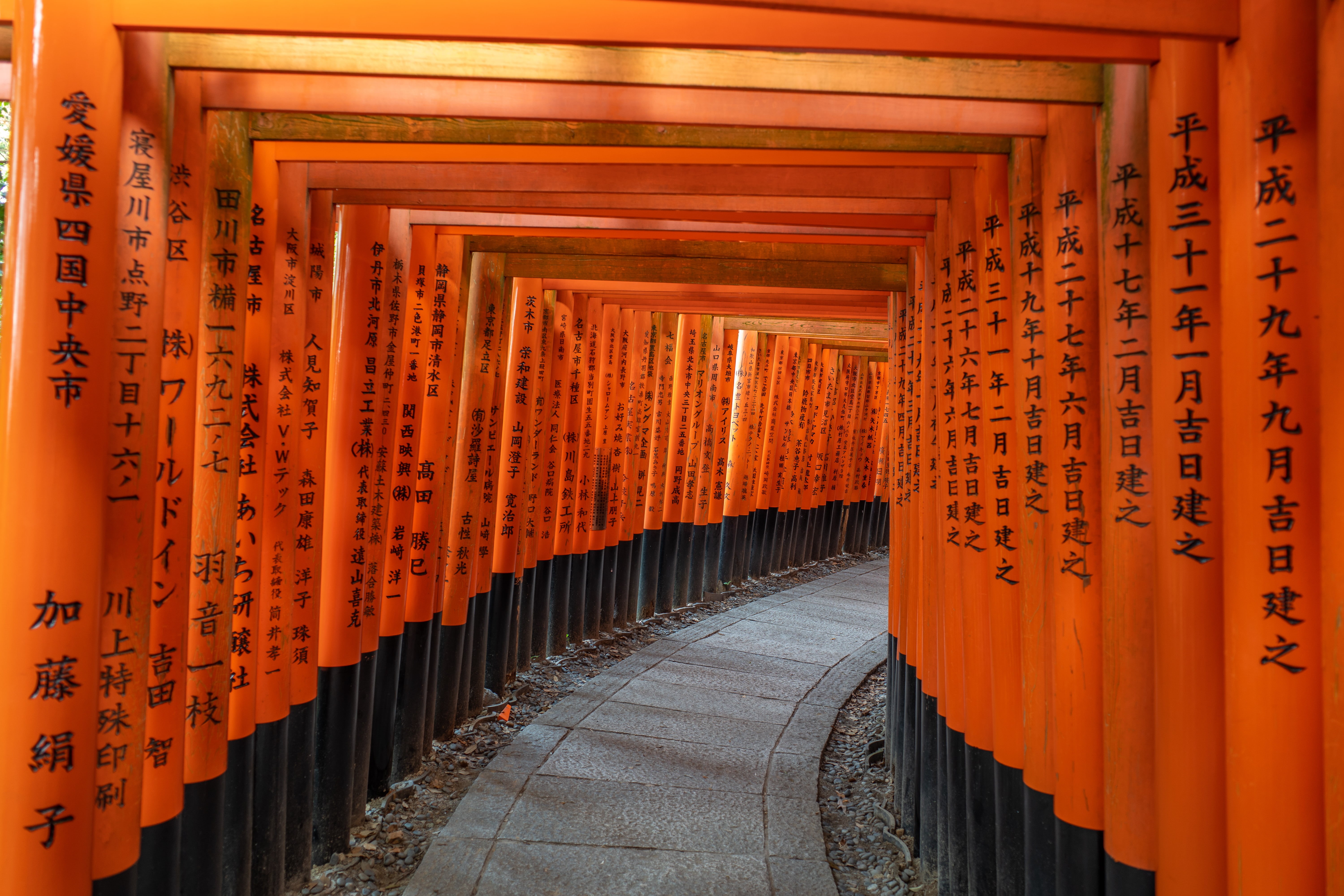 5K, Fushimi Inari-taisha, Japan, Kyoto, torii, HD Wallpaper