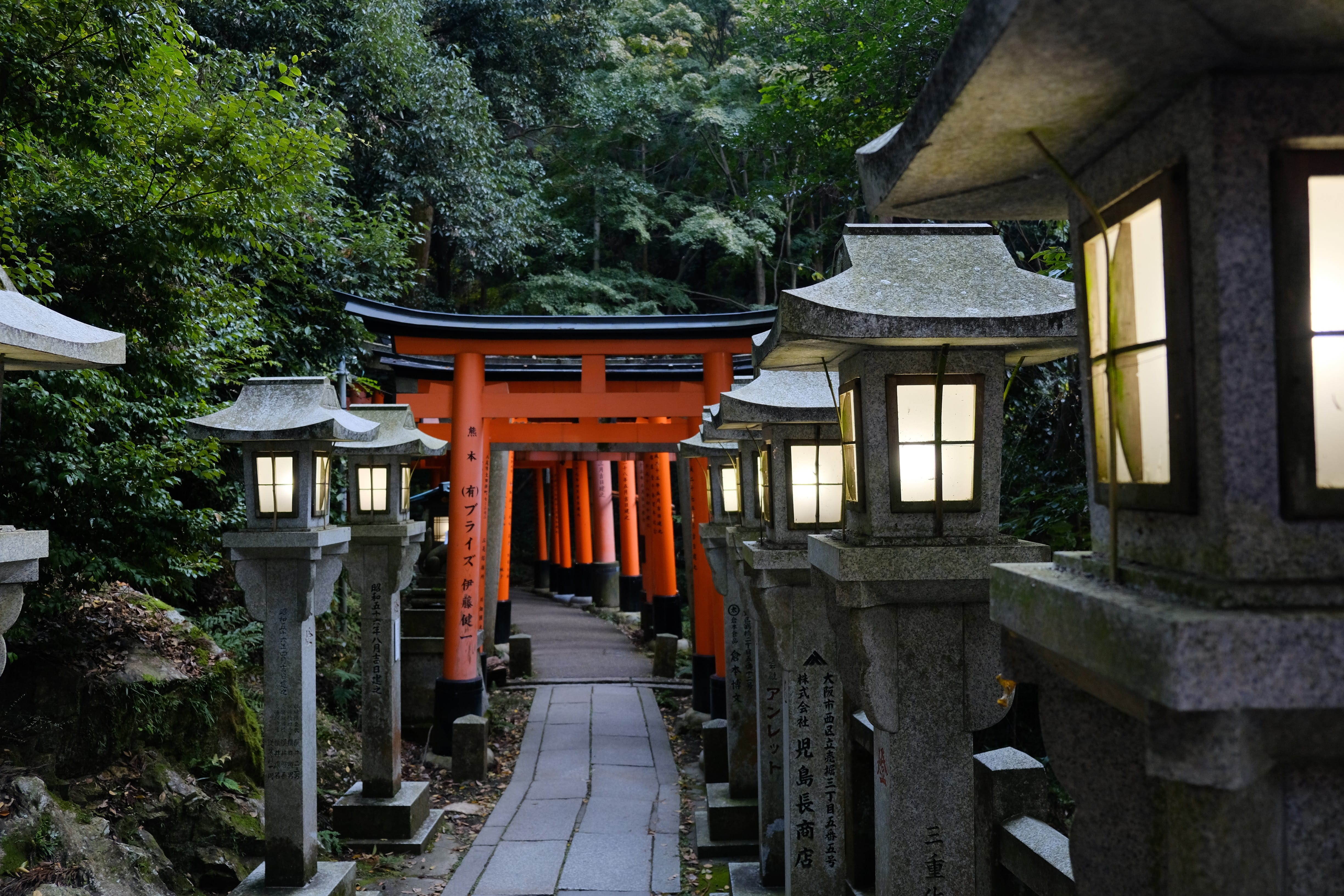 place of worship, building, forest, architecture, trees, belief, day, kyōto-shi, nature, direction, built structure, japan, building exterior, spiritual, HD Wallpaper