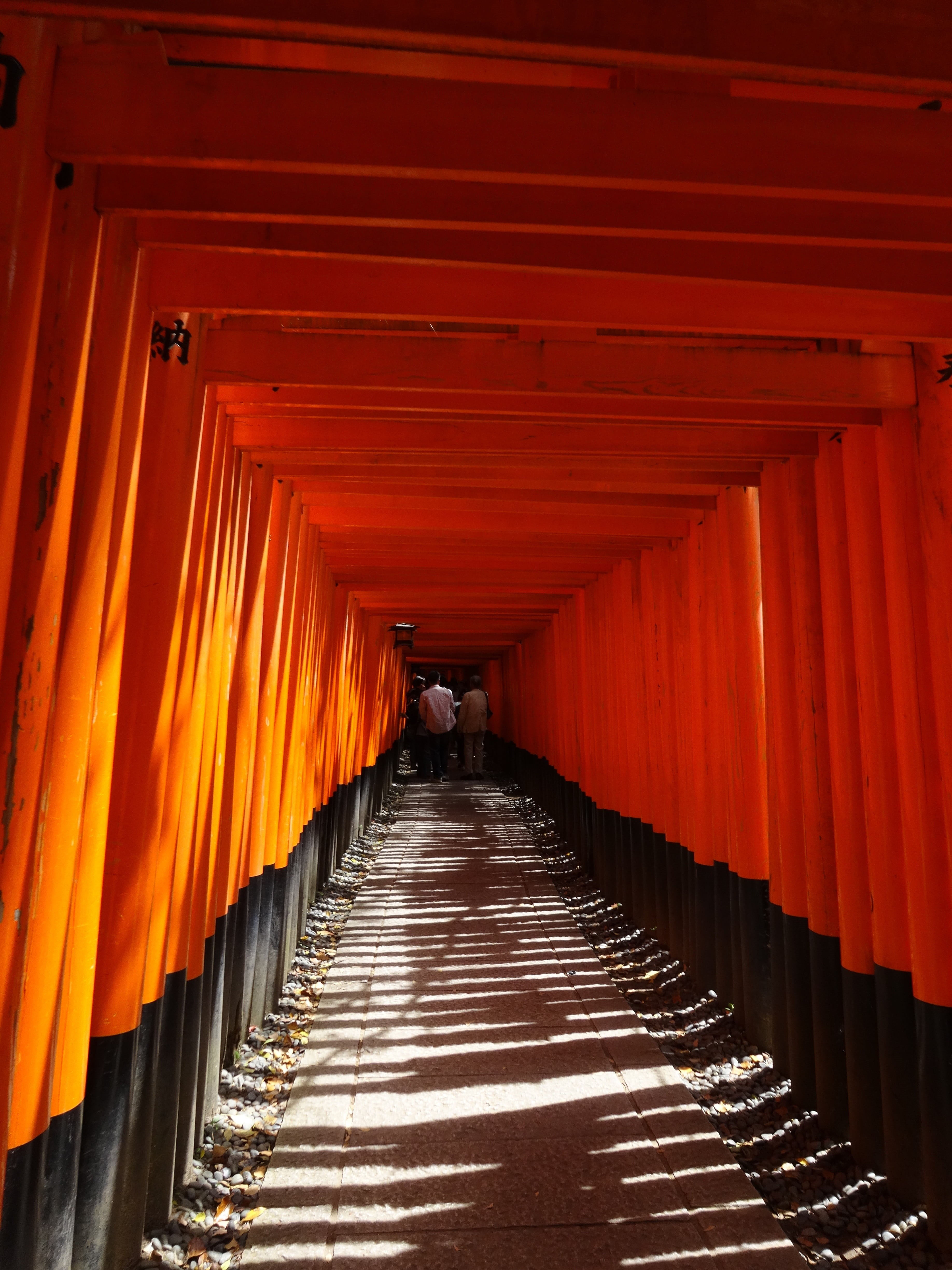 architectural column, outdoors, repetition, long, orange color, 4K, belief, kyoto, footpath, senbon-torii, day, place of worship, spirituality, diminishing perspective, Phone HD Wallpaper