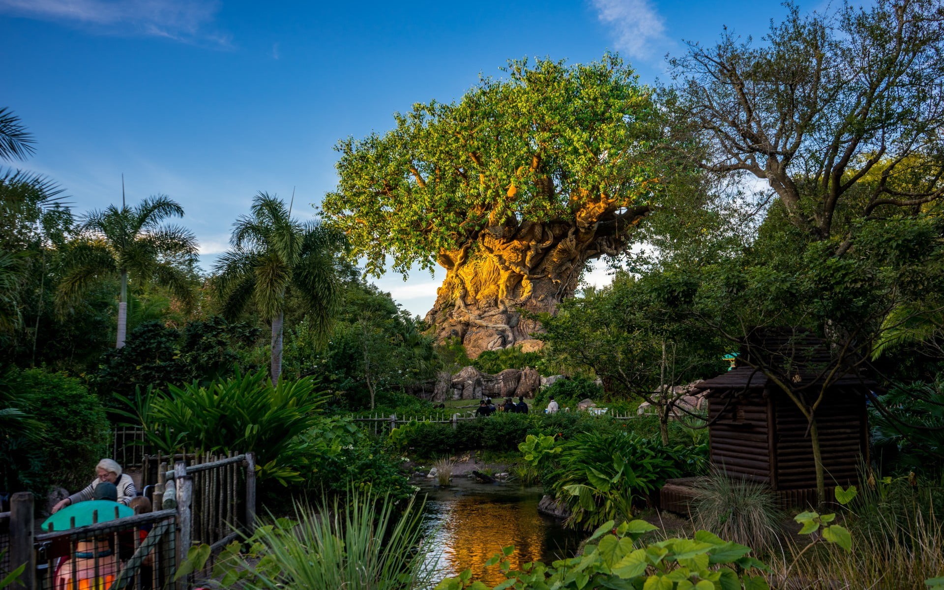 tranquility, scenics - nature, beauty in nature, outdoors, water, sky, palm tree, green color, Walt Disney World Resort, 1080P, growth, architecture, tree, HD Wallpaper